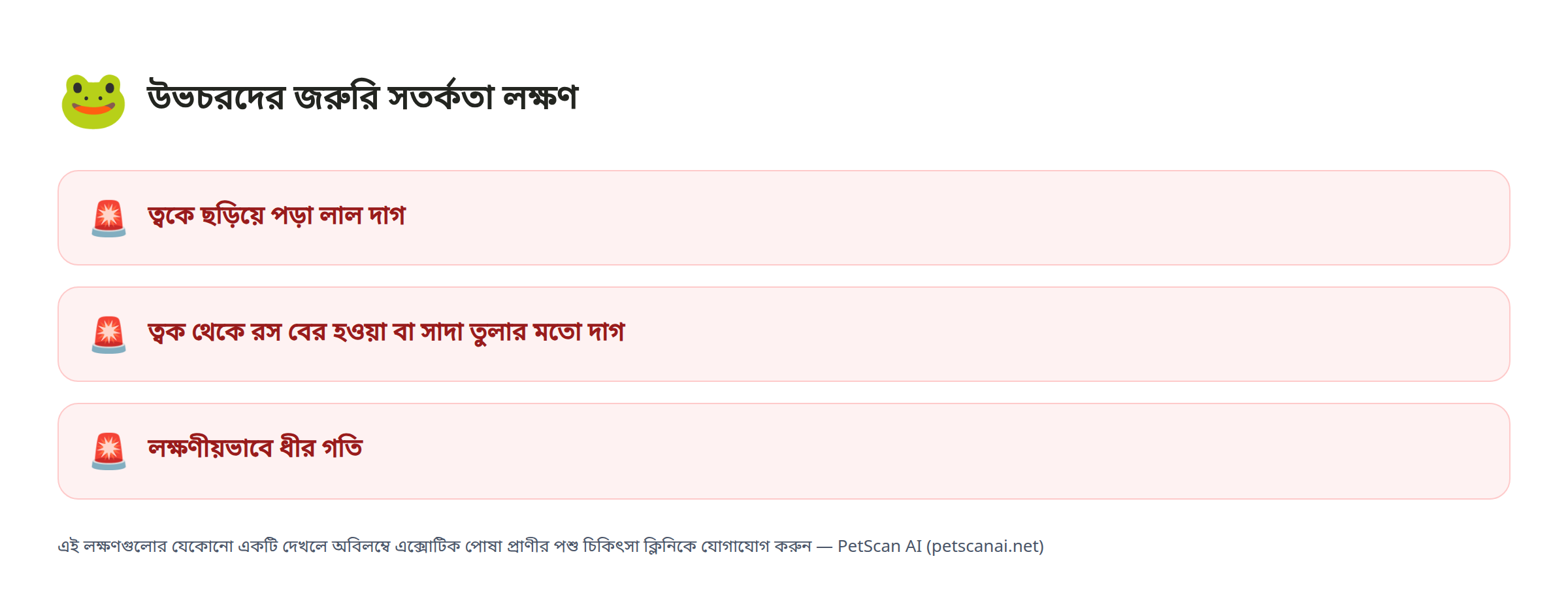 উভচরদের জরুরি সতর্কতা লক্ষণ: ত্বকে ছড়িয়ে পড়া লাল দাগ, ত্বক থেকে রস বের হওয়া বা সাদা তুলার মতো দাগ, লক্ষণীয়ভাবে ধীর গতি — PetScan AI