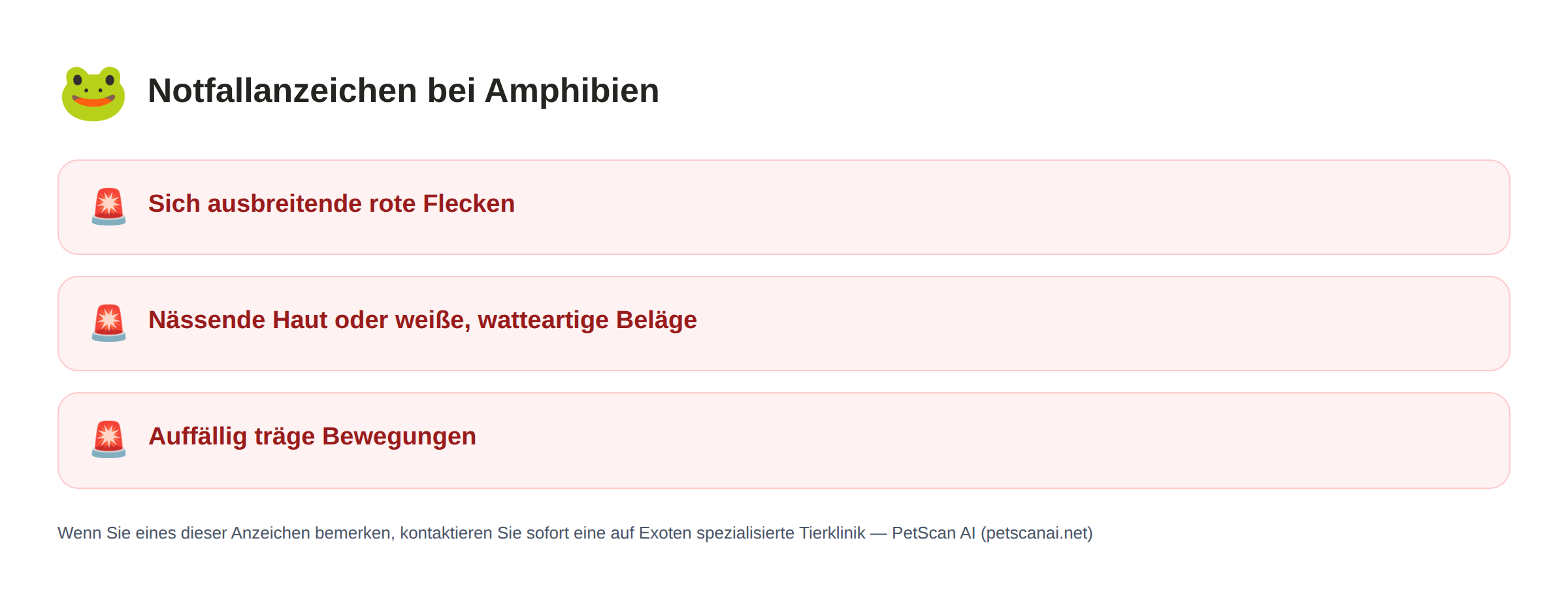 Notfallanzeichen bei Amphibien: Sich ausbreitende rote Flecken, Nässende Haut oder weiße, watteartige Beläge, Auffällig träge Bewegungen — PetScan AI