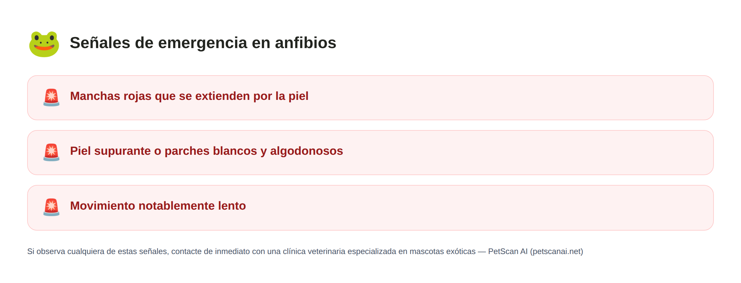 Señales de emergencia en anfibios: Manchas rojas que se extienden por la piel, Piel supurante o parches blancos y algodonosos, Movimiento notablemente lento — PetScan AI