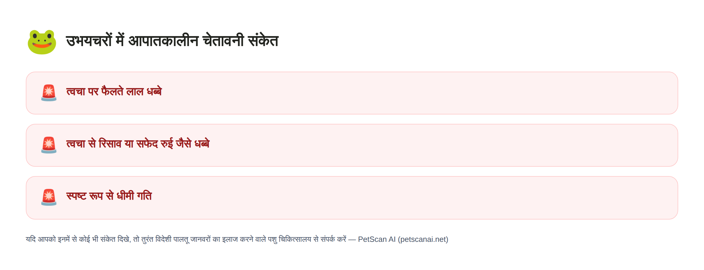 उभयचरों में आपातकालीन चेतावनी संकेत: त्वचा पर फैलते लाल धब्बे, त्वचा से रिसाव या सफेद रुई जैसे धब्बे, स्पष्ट रूप से धीमी गति — PetScan AI