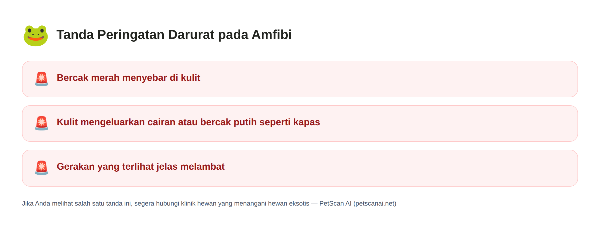 Daftar tanda darurat Amfibi: Bercak merah menyebar di kulit, Kulit mengeluarkan cairan atau bercak putih seperti kapas, Gerakan yang terlihat jelas melambat — PetScan AI
