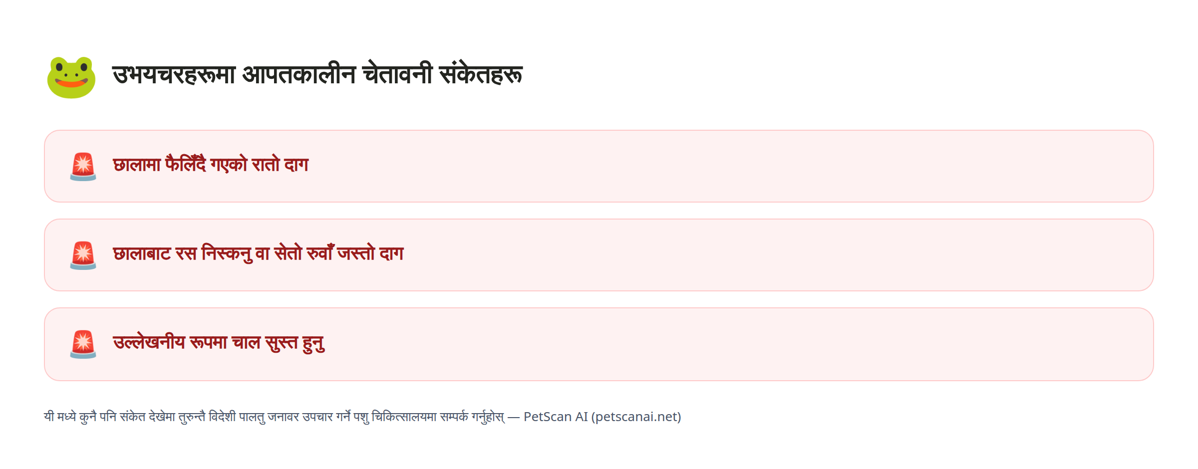 उभयचर आपतकालीन संकेत जाँचसूची: छालामा फैलिँदै गएको रातो दाग, छालाबाट रस निस्कनु वा सेतो रुवाँ जस्तो दाग, उल्लेखनीय रूपमा चाल सुस्त हुनु — PetScan AI