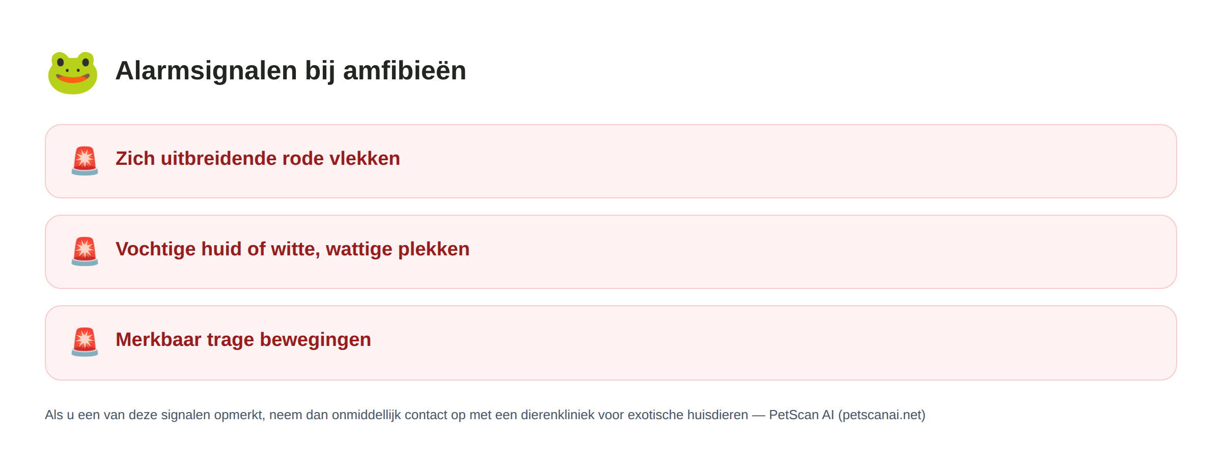 Checklist alarmsignalen bij amfibieën: rode vlekken die zich over de huid verspreiden, vochtige huid of witte pluizige plekken, merkbaar trage bewegingen — PetScan AI