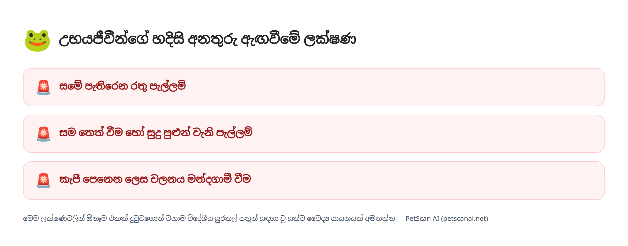 උභයජීවීන්ගේ හදිසි අනතුරු ඇඟවීමේ ලක්ෂණ: සමේ පැතිරෙන රතු පැල්ලම්, සම තෙත් වීම හෝ සුදු පුළුන් වැනි පැල්ලම්, කැපී පෙනෙන ලෙස චලනය මන්දගාමී වීම — PetScan AI