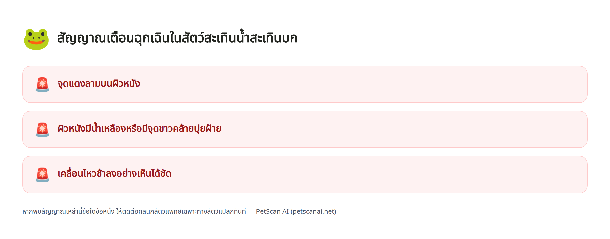 สัญญาณเตือนฉุกเฉินในสัตว์สะเทินน้ำสะเทินบก: จุดแดงลามบนผิวหนัง, ผิวหนังมีน้ำเหลืองหรือมีจุดขาวคล้ายปุยฝ้าย, เคลื่อนไหวช้าลงอย่างเห็นได้ชัด — PetScan AI