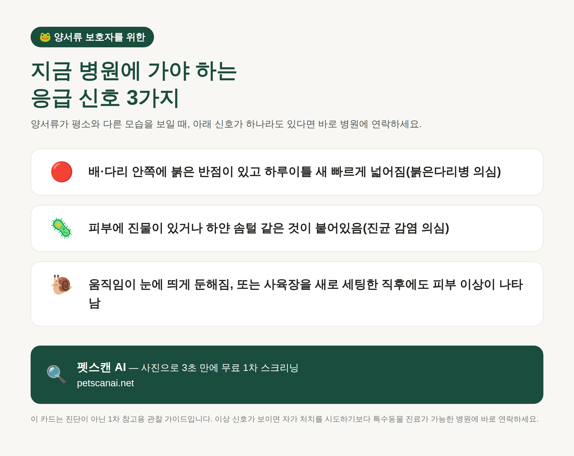양서류 응급 신호 체크리스트: 붉은 반점 확산, 피부 진물·흰 솜털, 움직임 둔화 — 펫스캔 AI