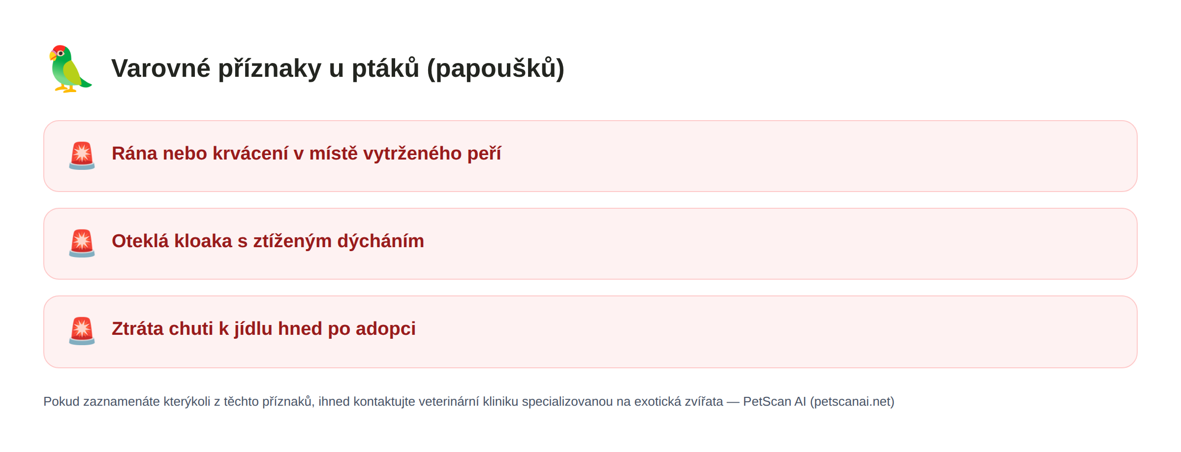 Varovné příznaky u ptáků (papoušků): Rána nebo krvácení v místě vytrženého peří, Oteklá kloaka s ztíženým dýcháním, Ztráta chuti k jídlu hned po adopci — PetScan AI