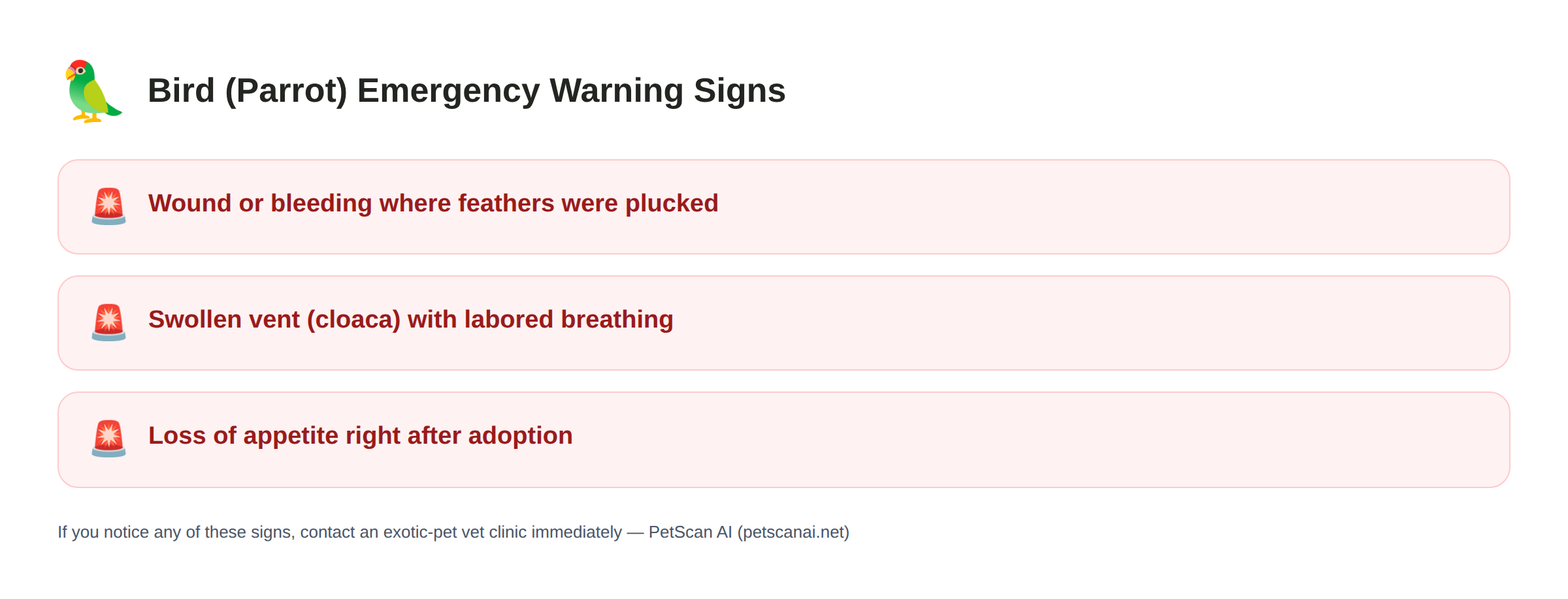 Bird (parrot) emergency warning signs: Wound or bleeding where feathers were plucked, Swollen vent (cloaca) with labored breathing, Loss of appetite right after adoption — PetScan AI