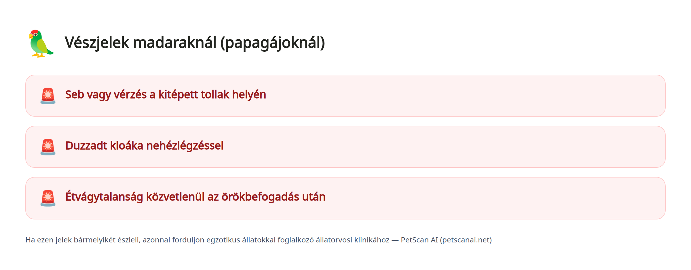 Vészjelek madaraknál (papagájoknál): Seb vagy vérzés a kitépett tollak helyén, Duzzadt kloáka nehézlégzéssel, Étvágytalanság közvetlenül az örökbefogadás után — PetScan AI