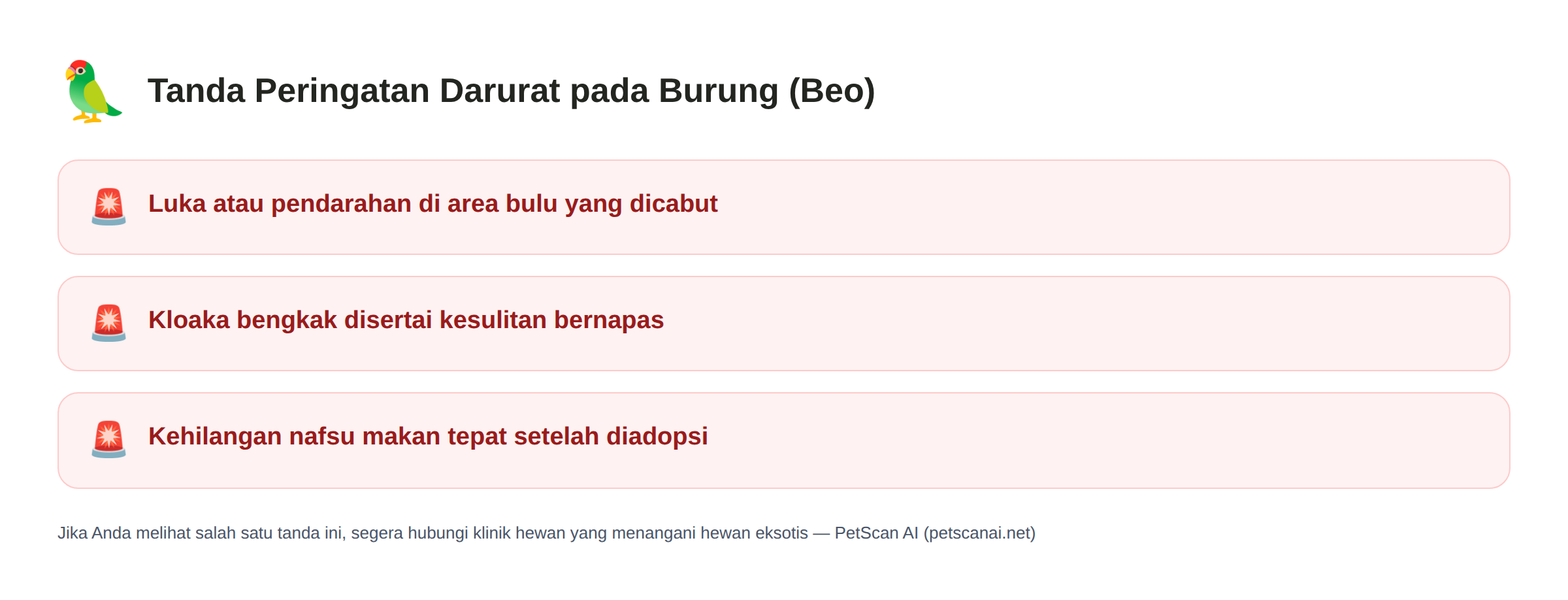 Daftar tanda darurat Burung (Beo): Luka atau pendarahan di area bulu yang dicabut, Kloaka bengkak disertai kesulitan bernapas, Kehilangan nafsu makan tepat setelah diadopsi — PetScan AI