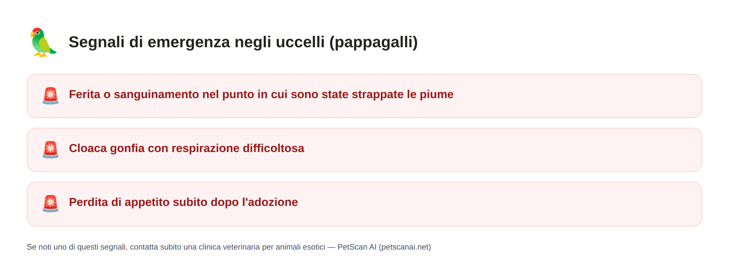Segnali di emergenza negli uccelli (pappagalli): Ferita o sanguinamento nel punto in cui sono state strappate le piume, Cloaca gonfia con respirazione difficoltosa, Perdita di appetito subito dopo l'adozione — PetScan AI