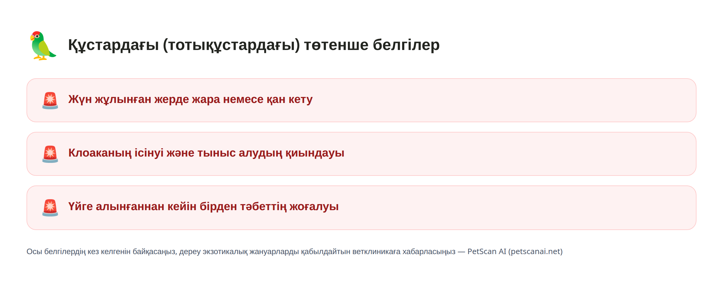 Құстардағы (тотықұстардағы) төтенше белгілер: Жүн жұлынған жерде жара немесе қан кету, Клоаканың ісінуі және тыныс алудың қиындауы, Үйге алынғаннан кейін бірден тәбеттің жоғалуы — PetScan AI