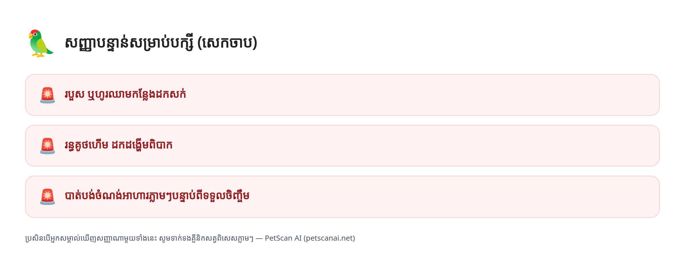 បញ្ជីត្រួតពិនិត្យសញ្ញាបន្ទាន់បក្សី (សេកចាប)៖ របួស ឬហូរឈាមកន្លែងដកសក់, រន្ធគូថហើម ដកដង្ហើមពិបាក, បាត់បង់ចំណង់អាហារភ្លាមៗបន្ទាប់ពីទទួលចិញ្ចឹម — PetScan AI