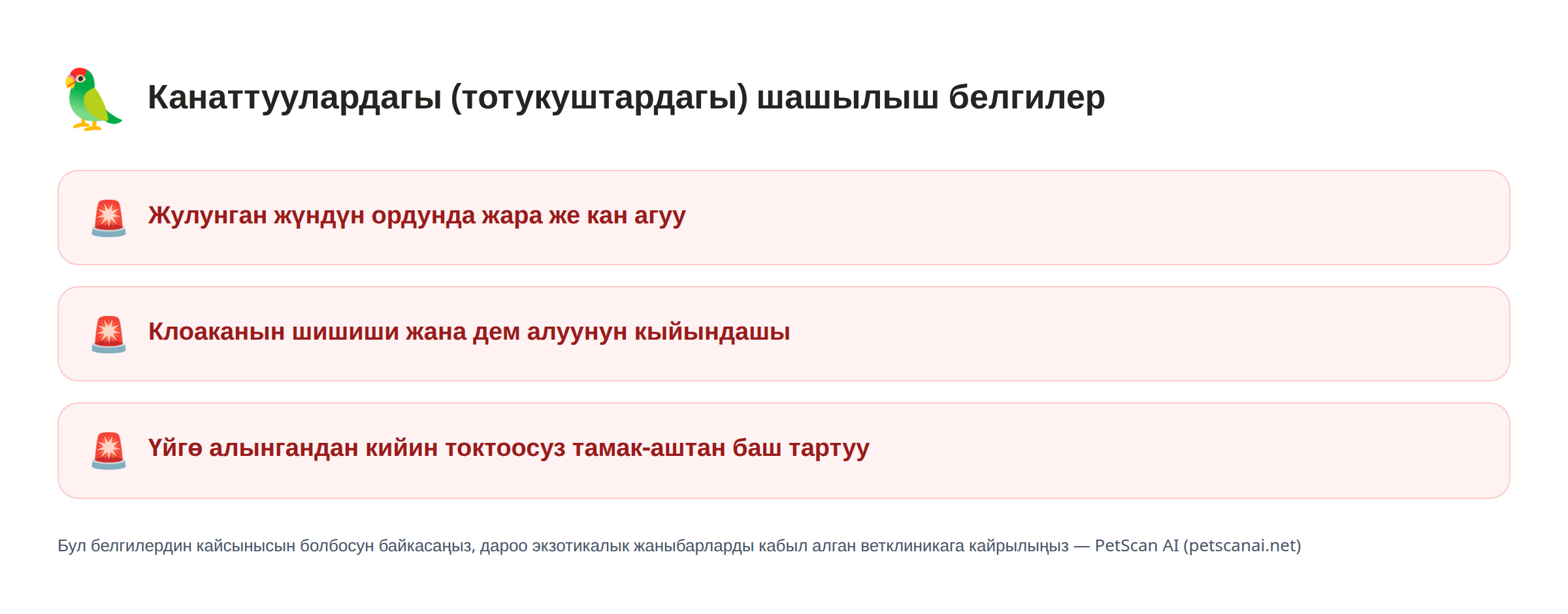 Канаттуулардагы (тотукуштардагы) шашылыш белгилер: Жулунган жүндүн ордунда жара же кан агуу, Клоаканын шишиши жана дем алуунун кыйындашы, Үйгө алынгандан кийин токтоосуз тамак-аштан баш тартуу — PetScan AI
