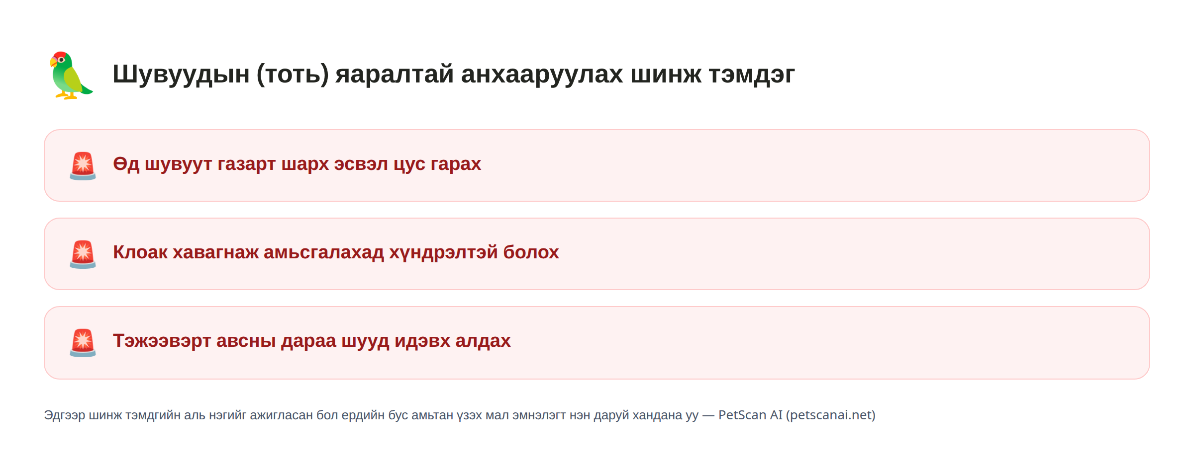 Шувуудын (тоть) яаралтай анхааруулах шинж тэмдэг: Өд шувуут газарт шарх эсвэл цус гарах, клоак хавагнаж амьсгалахад хүндрэлтэй болох, тэжээвэрт авсны дараа шууд идэвх алдах — PetScan AI