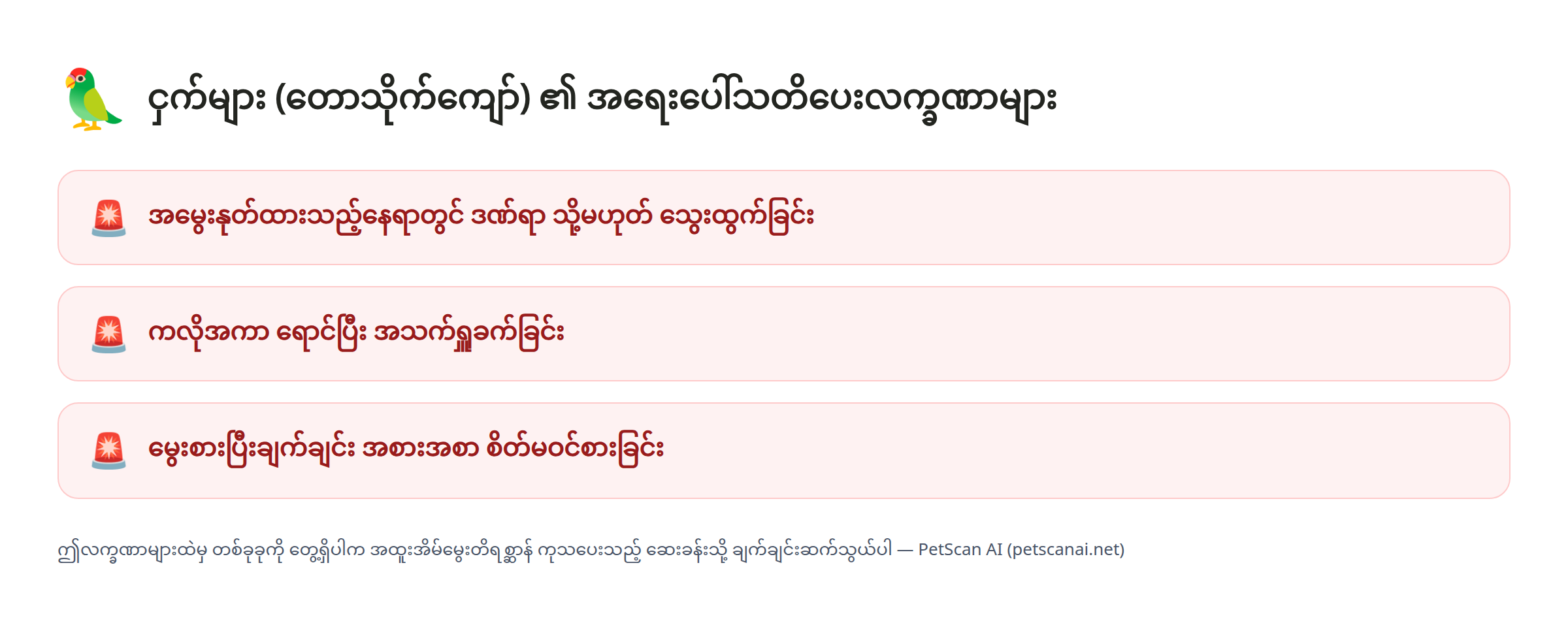 ငှက် (တောသိုက်ကျော်) အရေးပေါ်သတိပေးလက္ခဏာ စစ်ဆေးရန်စာရင်း: အမွေးနုတ်ထားသည့်နေရာတွင် ဒဏ်ရာ သို့မဟုတ် သွေးထွက်ခြင်း၊ ကလိုအကာ ရောင်ပြီး အသက်ရှူခက်ခြင်း၊ မွေးစားပြီးချက်ချင်း အစားအစာ စိတ်မဝင်စားခြင်း — PetScan AI