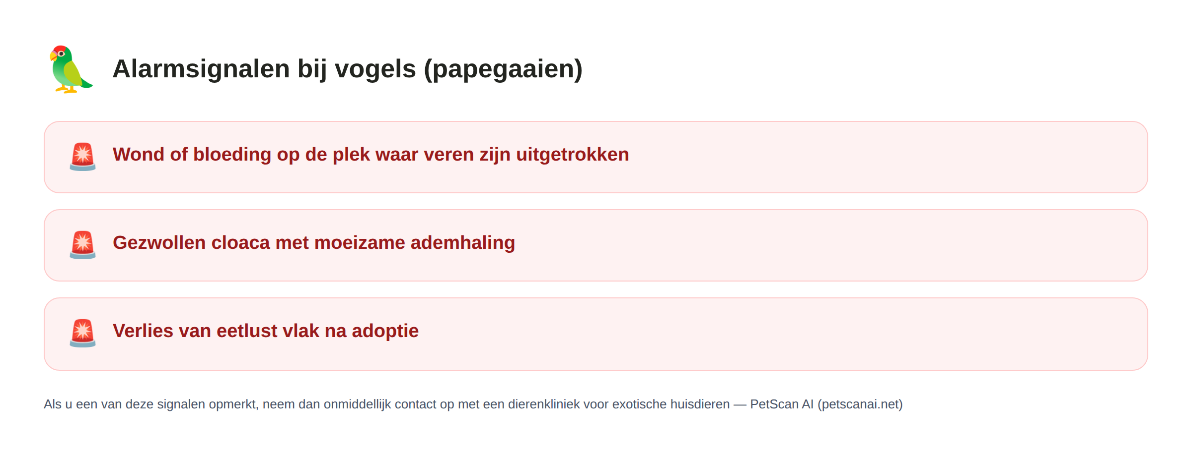 Checklist alarmsignalen bij vogels (papegaaien): wond of bloeding op plekken waar veren zijn uitgetrokken, gezwollen cloaca met moeizame ademhaling, eetlustverlies direct na adoptie — PetScan AI