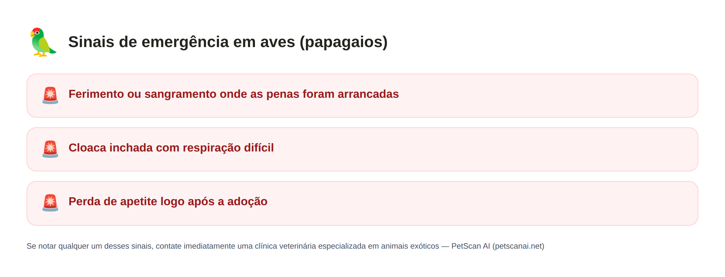 Sinais de emergência em aves (papagaios): Ferimento ou sangramento onde as penas foram arrancadas, Cloaca inchada com respiração difícil, Perda de apetite logo após a adoção — PetScan AI