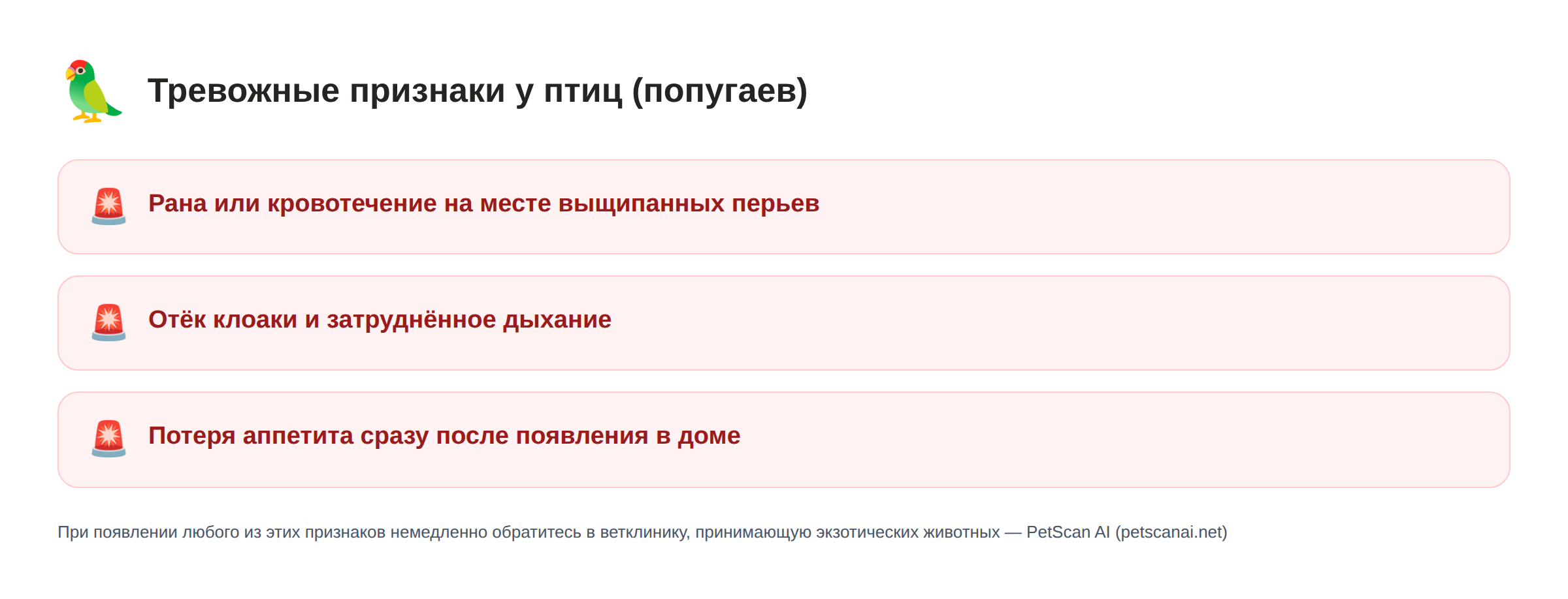 Чек-лист тревожных признаков у птиц (попугаев): рана или кровотечение на месте выщипанных перьев, отёк клоаки и затруднённое дыхание, потеря аппетита сразу после появления в доме — PetScan AI
