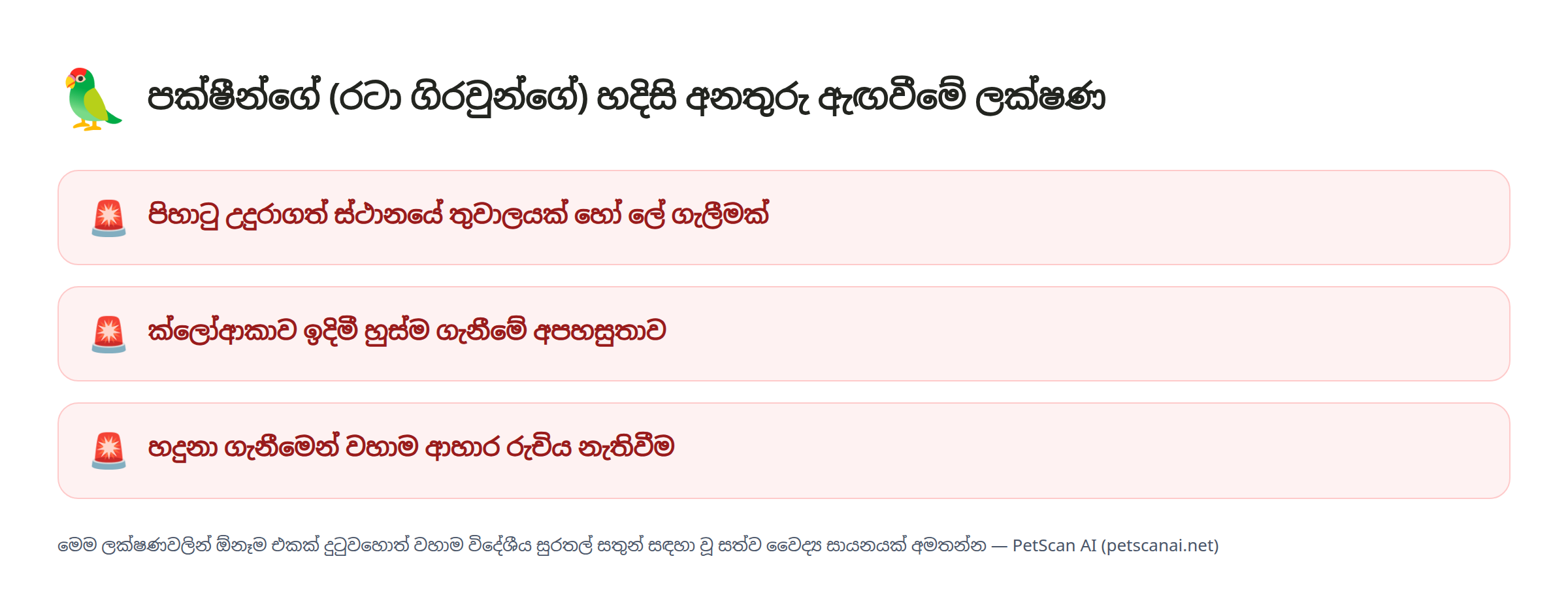 පක්ෂීන්ගේ (රටා ගිරවුන්ගේ) හදිසි අනතුරු ඇඟවීමේ ලක්ෂණ: පිහාටු උදුරාගත් ස්ථානයේ තුවාලයක් හෝ ලේ ගැලීමක්, ක්ලෝආකාව ඉදිමී හුස්ම ගැනීමේ අපහසුතාවය, හදුනා ගැනීමෙන් වහාම ආහාර රුචිය නැතිවීම — PetScan AI
