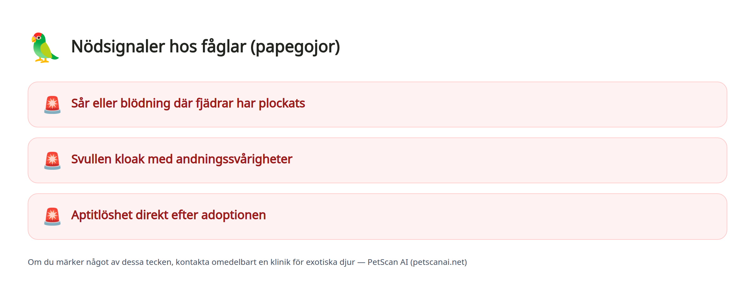 Nödsignaler hos fåglar (papegojor): Sår eller blödning där fjädrar har plockats, Svullen kloak med andningssvårigheter, Aptitlöshet direkt efter adoptionen — PetScan AI