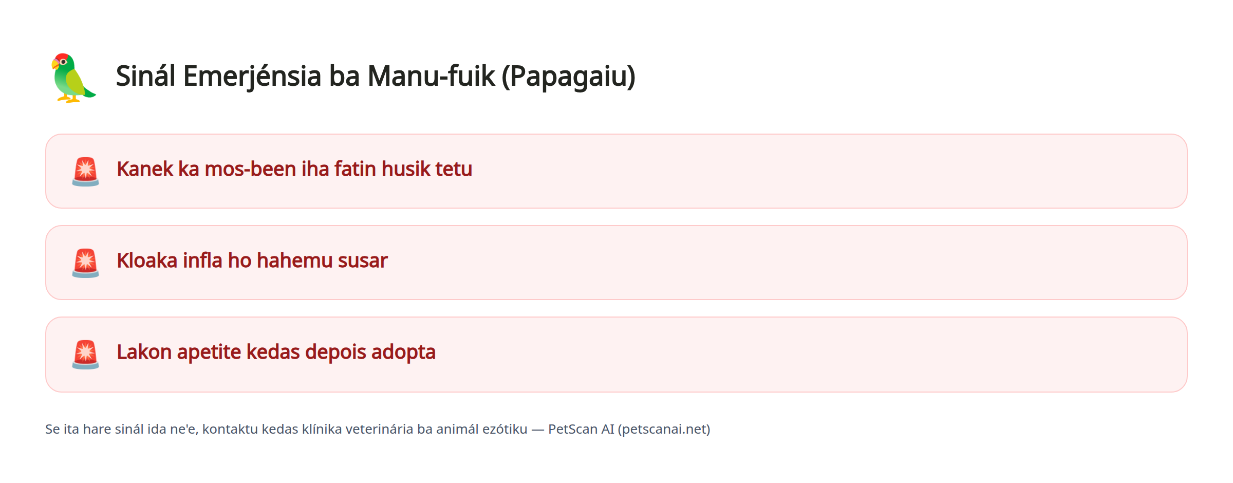 Sinál Emerjénsia ba Manu-fuik (Papagaiu): Kanek ka mos-been iha fatin husik tetu, Kloaka infla ho hahemu susar, Lakon apetite kedas depois adopta — PetScan AI