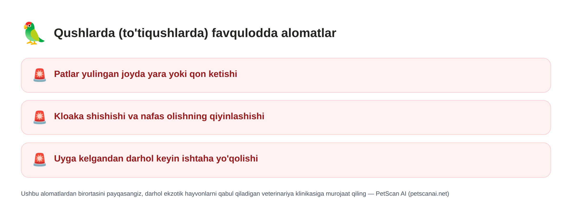 Qushlardagi (to'tiqushlardagi) favqulodda alomatlar ro'yxati: Patlar yulingan joyda yara yoki qon ketishi, Kloaka shishishi va nafas olishning qiyinlashishi, Uyga kelgandan darhol keyin ishtaha yo'qolishi — PetScan AI