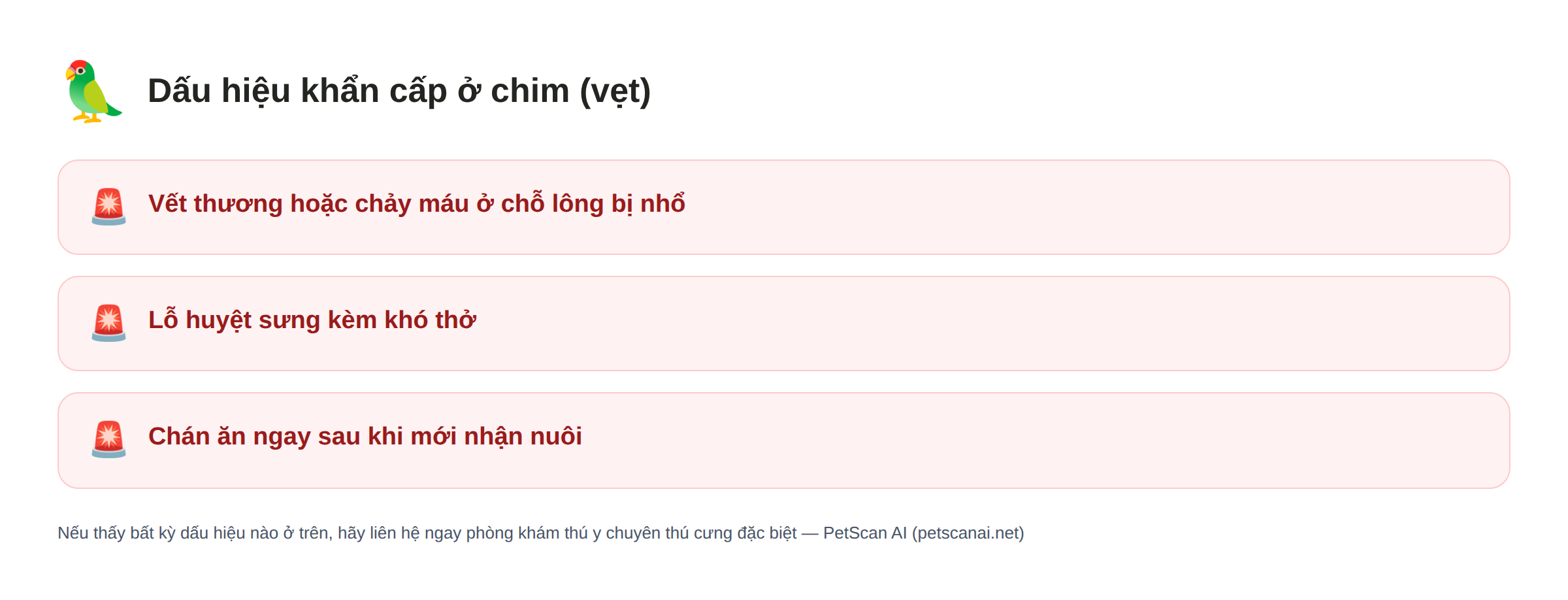 Danh sách dấu hiệu khẩn cấp ở chim (vẹt): Vết thương hoặc chảy máu ở chỗ lông bị nhổ, Lỗ huyệt sưng kèm khó thở, Chán ăn ngay sau khi mới nhận nuôi — PetScan AI
