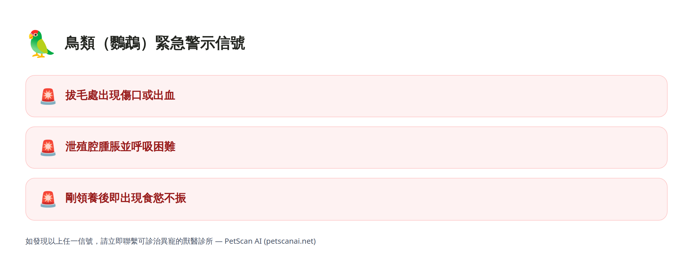 鳥類(鸚鵡)緊急警示信號清單:拔毛處出現傷口或出血、泄殖腔腫脹並呼吸困難、剛領養後即出現食慾不振 — PetScan AI