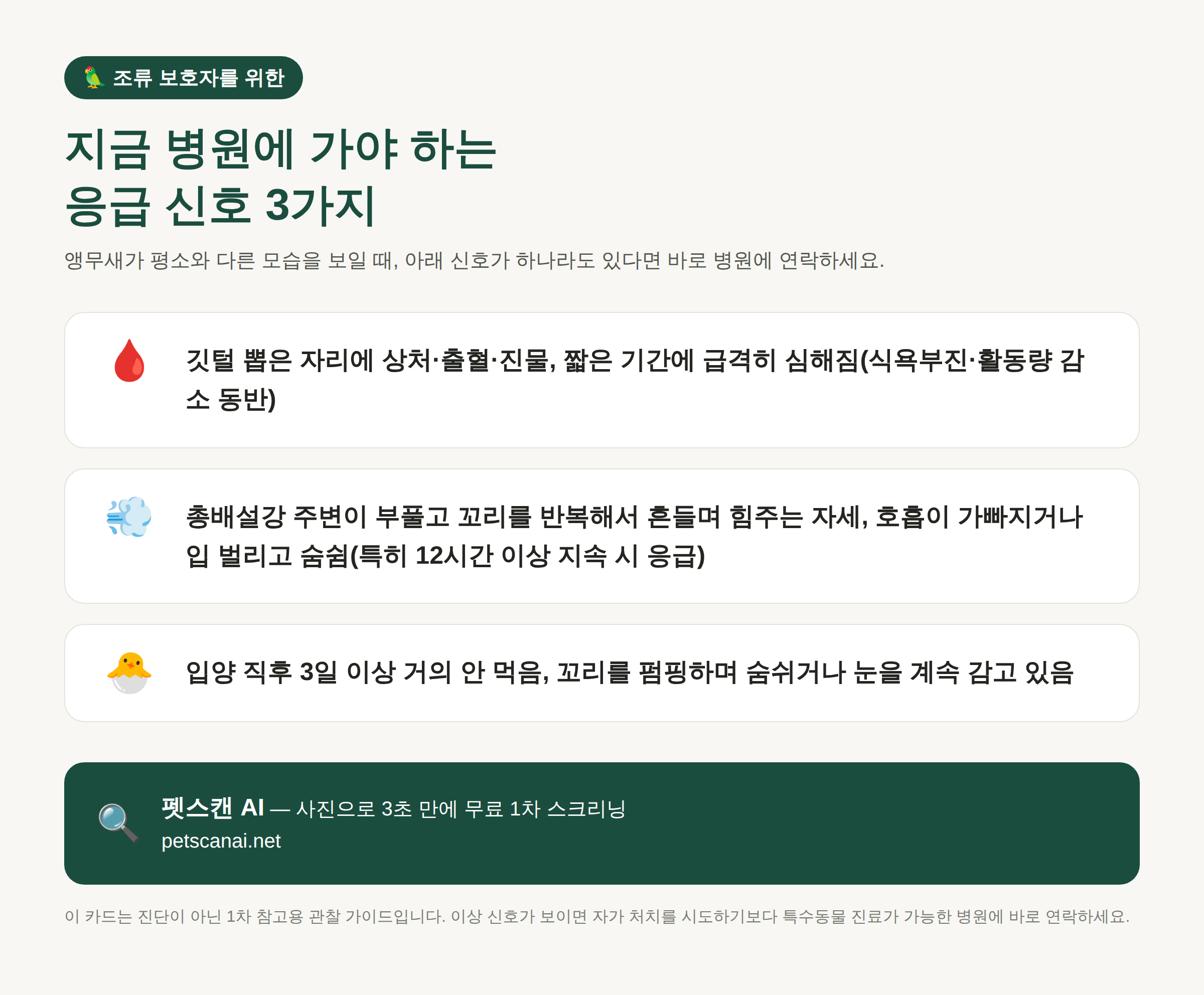조류(앵무새) 응급 신호 체크리스트: 깃털 뽑은 자리 상처·출혈, 총배설강 부풀고 호흡 곤란, 입양 직후 식욕부진 — 펫스캔 AI