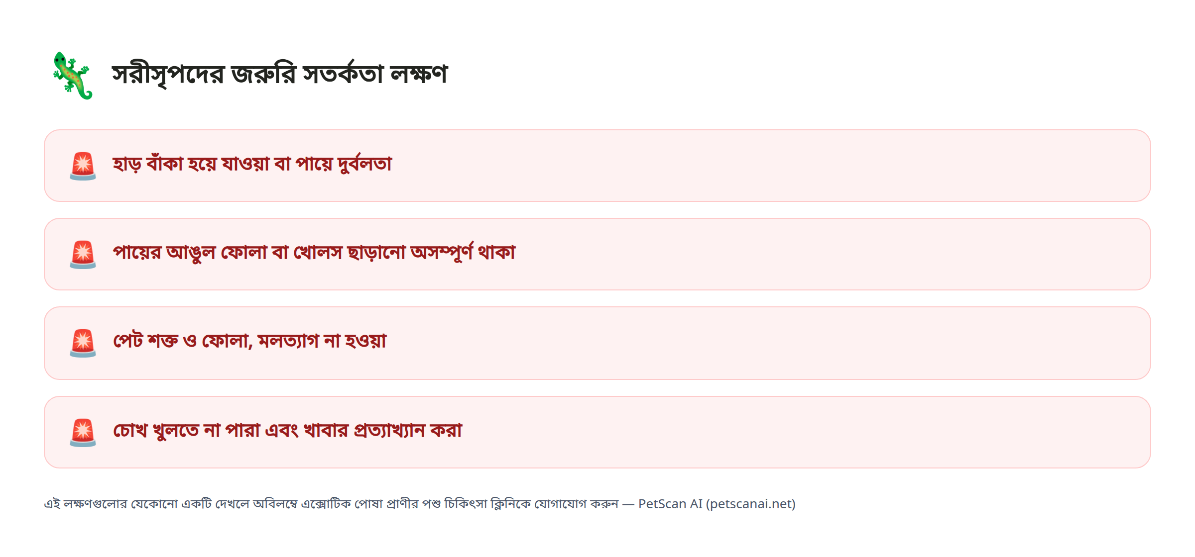 সরীসৃপদের জরুরি সতর্কতা লক্ষণ: হাড় বাঁকা হয়ে যাওয়া বা পায়ে দুর্বলতা, পায়ের আঙুল ফোলা বা খোলস ছাড়ানো অসম্পূর্ণ থাকা, পেট শক্ত ও ফোলা, মলত্যাগ না হওয়া, চোখ খুলতে না পারা এবং খাবার প্রত্যাখ্যান করা — PetScan AI
