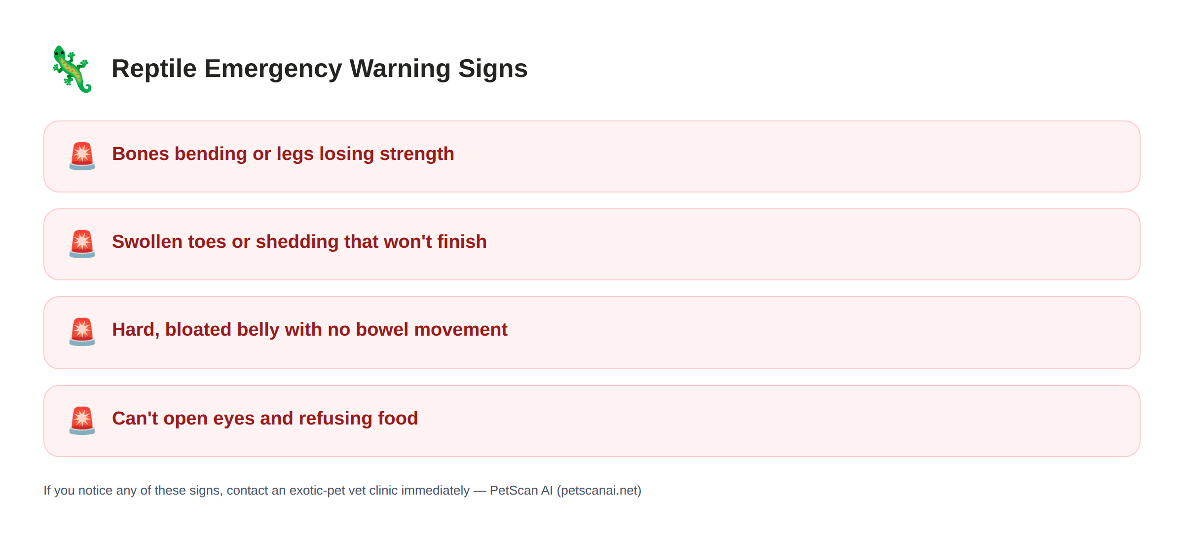 Reptile emergency warning signs: Bones bending or legs losing strength, Swollen toes or shedding that won't finish, Hard, bloated belly with no bowel movement, Can't open eyes and refusing food — PetScan AI