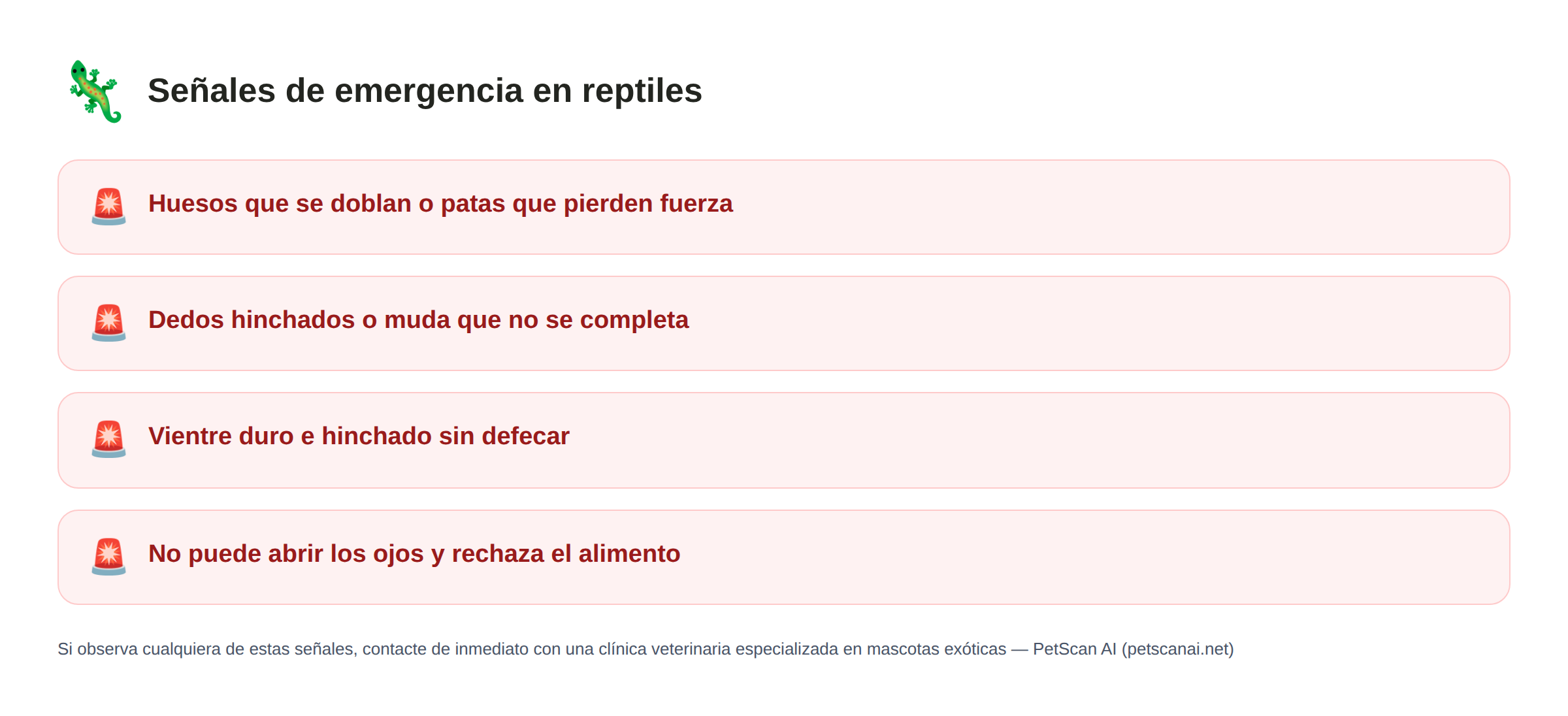 Señales de emergencia en reptiles: Huesos que se doblan o patas que pierden fuerza, Dedos hinchados o muda que no se completa, Vientre duro e hinchado sin defecar, No puede abrir los ojos y rechaza el alimento — PetScan AI