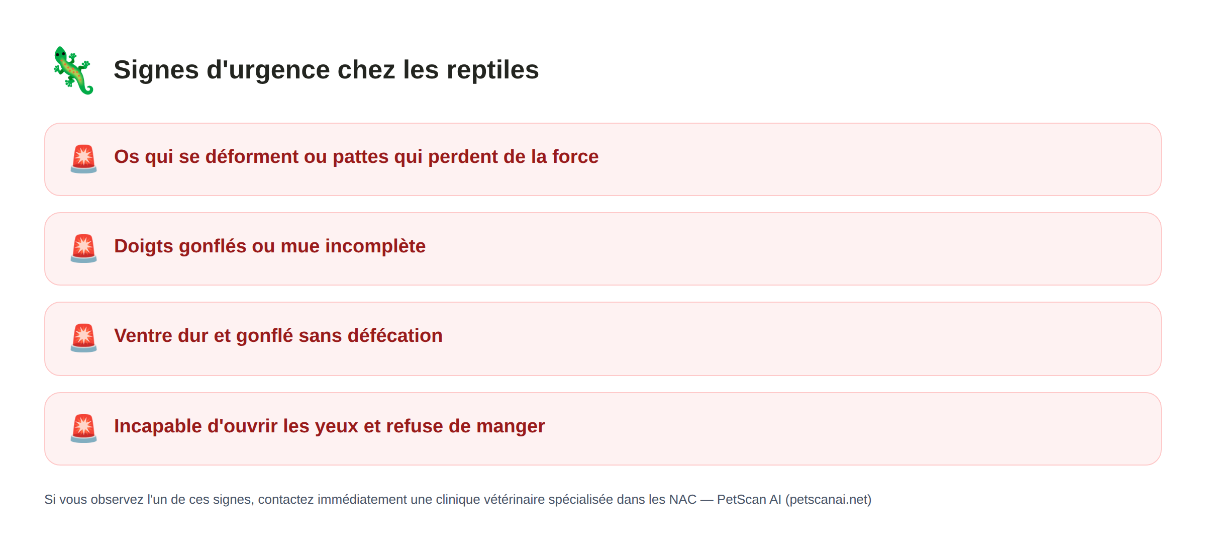 Reptiles signes d'urgence : os qui se déforment ou pattes qui perdent de la force, doigts gonflés ou mue incomplète, ventre dur et gonflé sans défécation, incapable d'ouvrir les yeux et refuse de manger — PetScan AI