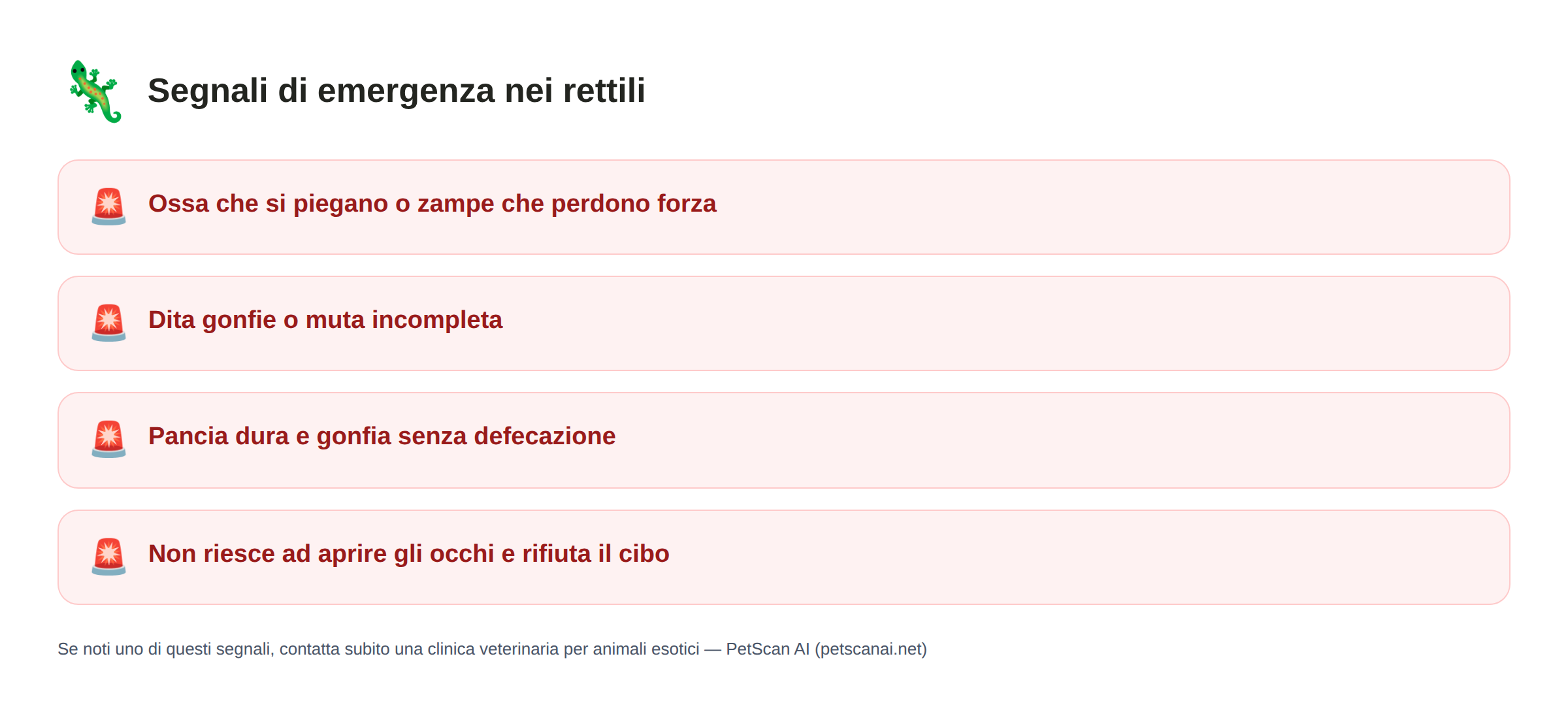 Segnali di emergenza nei rettili: Ossa che si piegano o zampe che perdono forza, Dita gonfie o muta incompleta, Pancia dura e gonfia senza defecazione, Non riesce ad aprire gli occhi e rifiuta il cibo — PetScan AI