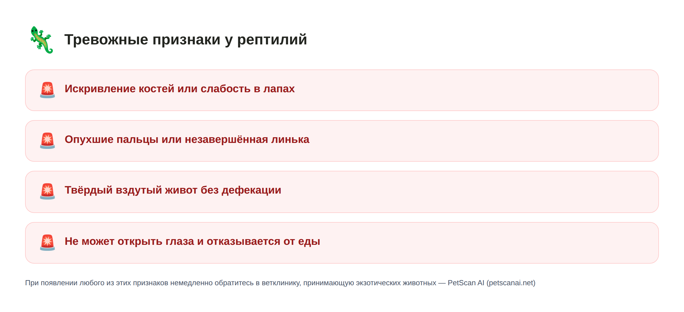 Чек-лист тревожных признаков у рептилий: искривление костей или слабость в лапах, опухшие пальцы или незавершённая линька, твёрдый вздутый живот без дефекации, не может открыть глаза и отказывается от еды — PetScan AI