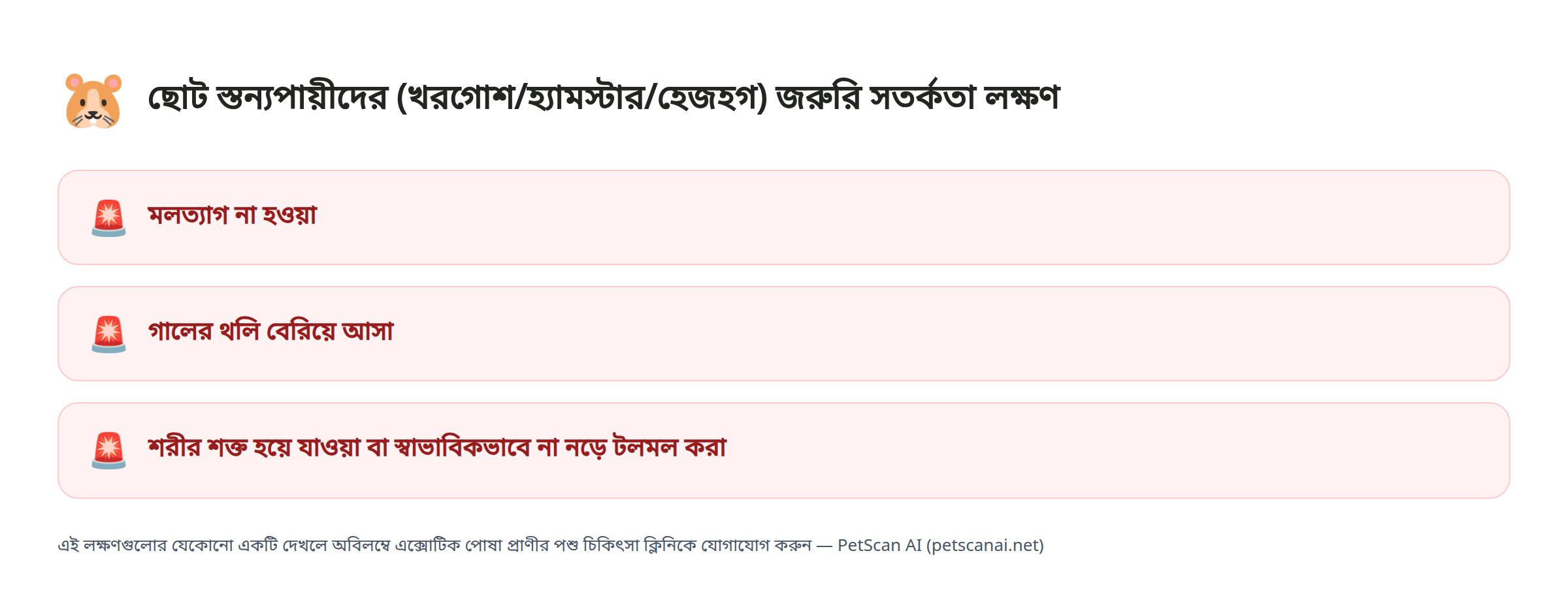 ছোট স্তন্যপায়ীদের (খরগোশ/হ্যামস্টার/হেজহগ) জরুরি সতর্কতা লক্ষণ: মলত্যাগ না হওয়া, গালের থলি বেরিয়ে আসা, শরীর শক্ত হয়ে যাওয়া বা স্বাভাবিকভাবে না নড়ে টলমল করা — PetScan AI
