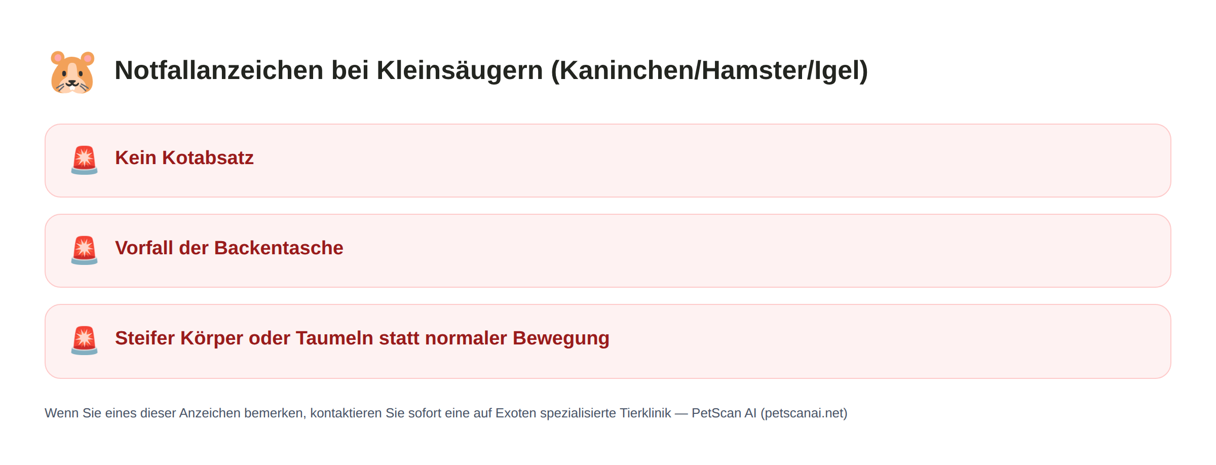 Notfallanzeichen bei Kleinsäugern (Kaninchen/Hamster/Igel): Kein Kotabsatz, Vorfall der Backentasche, Steifer Körper oder Taumeln statt normaler Bewegung — PetScan AI