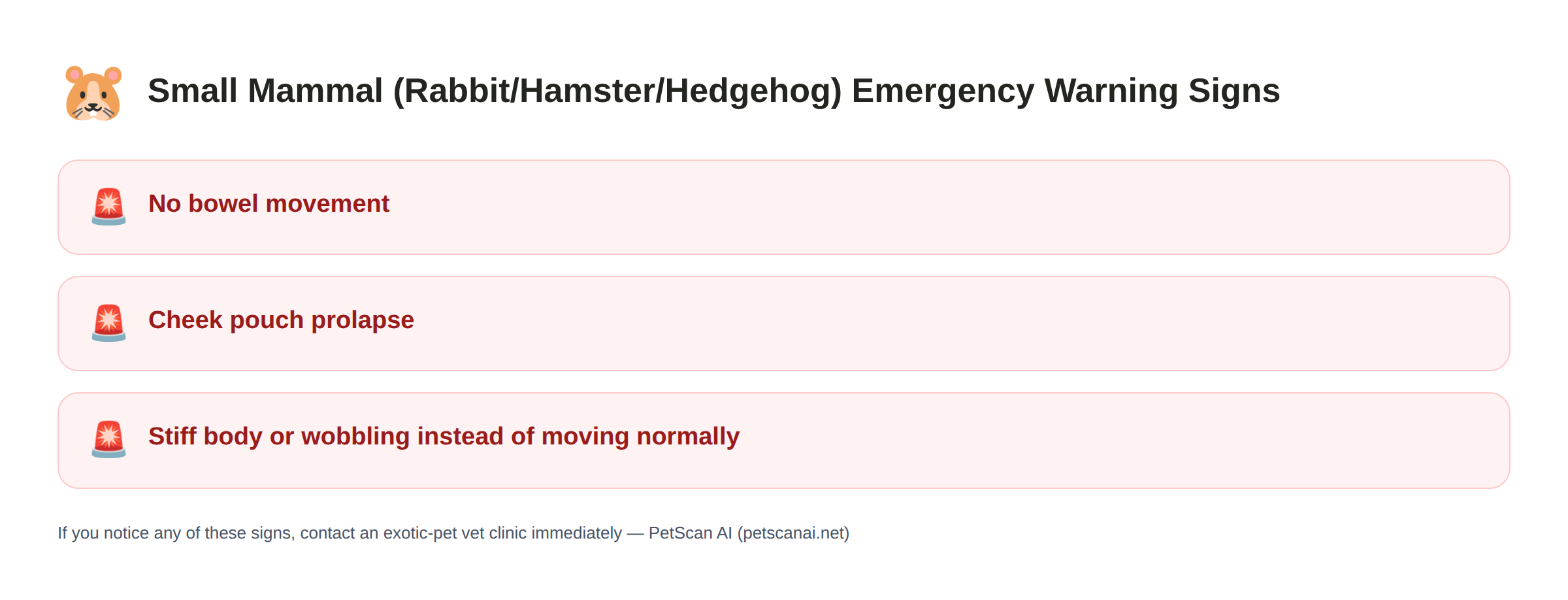 Small mammal (rabbit/hamster/hedgehog) emergency warning signs: No bowel movement, Cheek pouch prolapse, Stiff body or wobbling instead of moving normally — PetScan AI