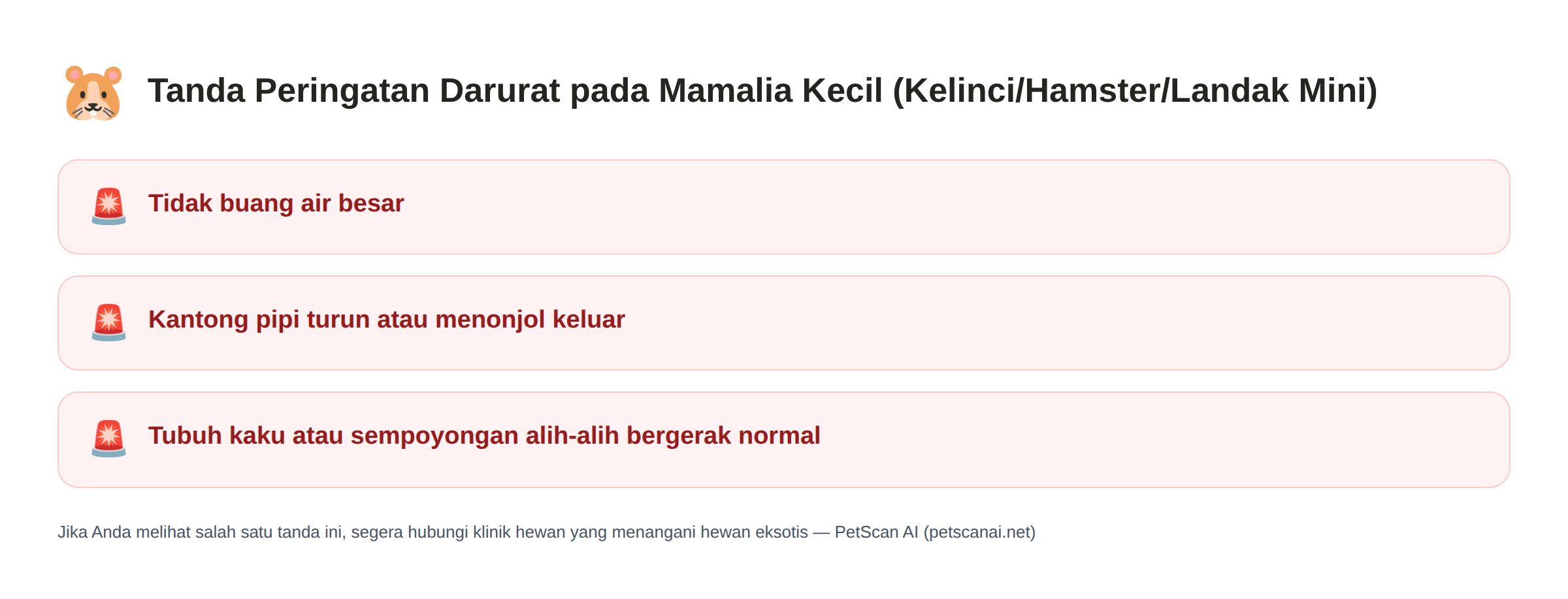 Daftar tanda darurat Mamalia Kecil (Kelinci/Hamster/Landak Mini): Tidak buang air besar, Kantong pipi turun atau menonjol keluar, Tubuh kaku atau sempoyongan alih-alih bergerak normal — PetScan AI