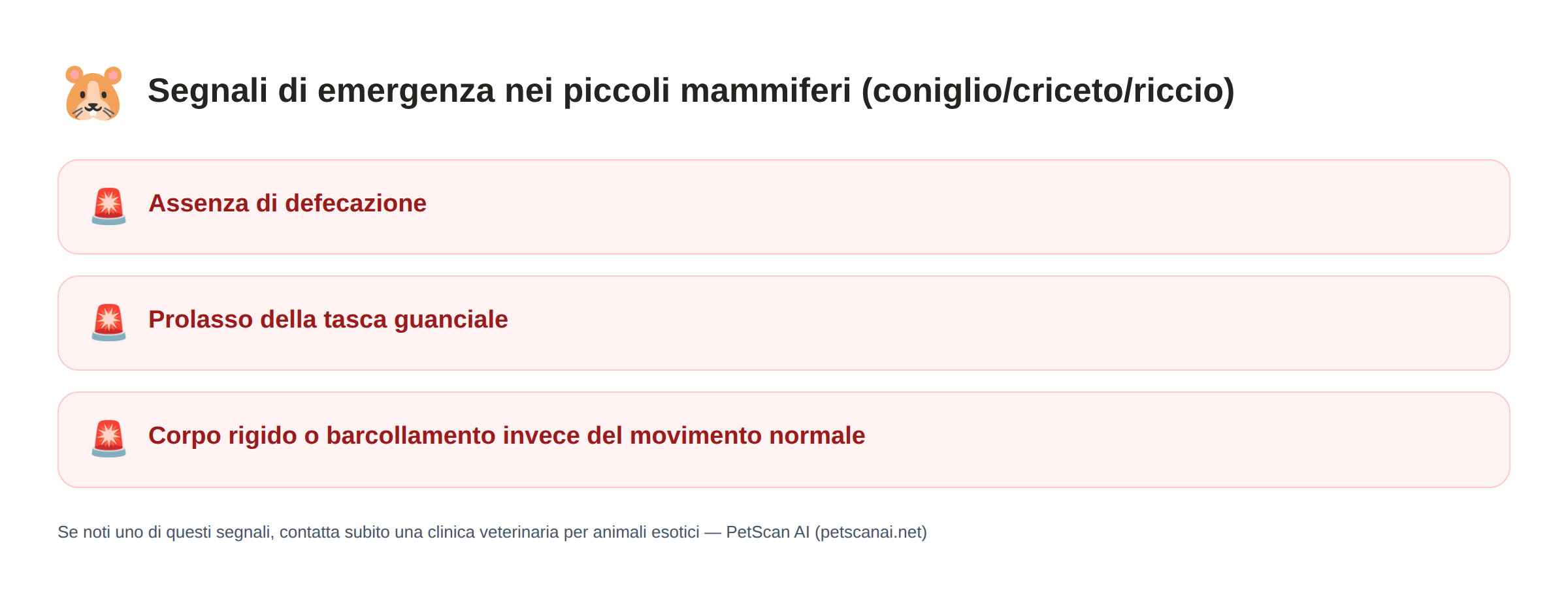 Segnali di emergenza nei piccoli mammiferi (coniglio/criceto/riccio): Assenza di defecazione, Prolasso della tasca guanciale, Corpo rigido o barcollamento invece del movimento normale — PetScan AI
