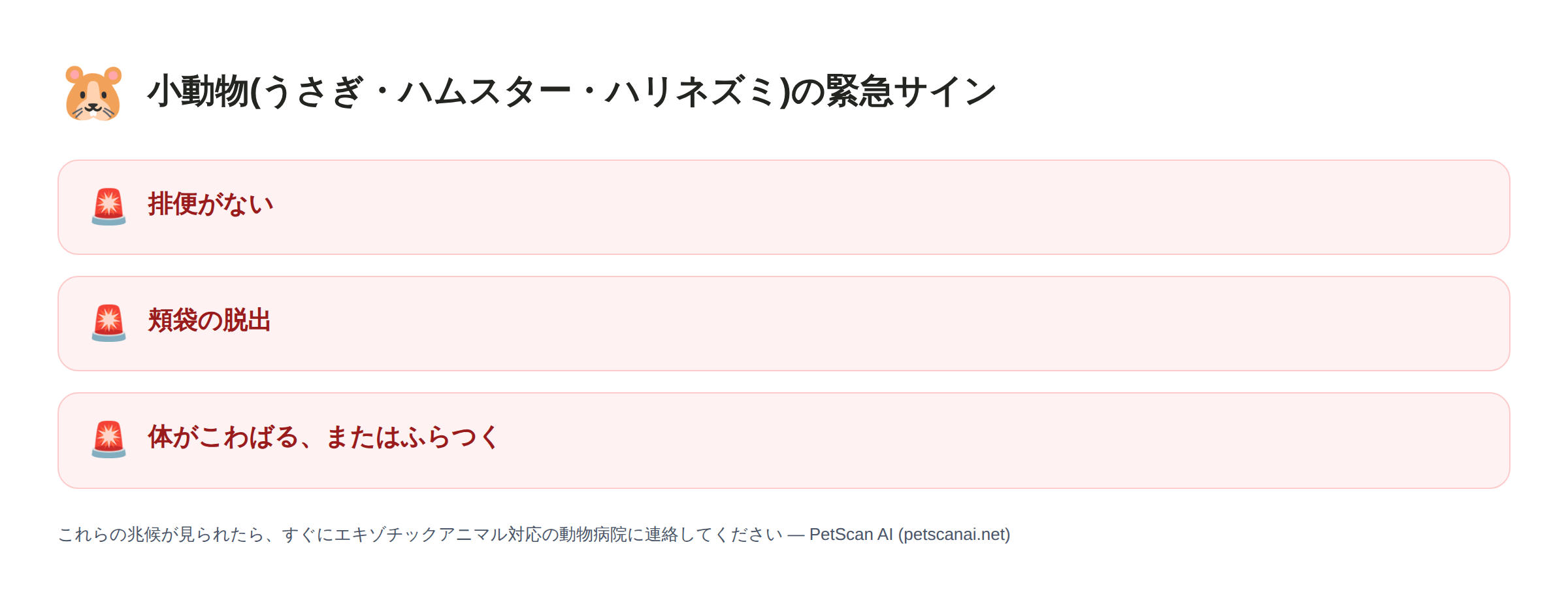 小動物(うさぎ・ハムスター・ハリネズミ)緊急サインチェックリスト: 排便がない、頬袋の脱出、体がこわばる、またはふらつく — PetScan AI