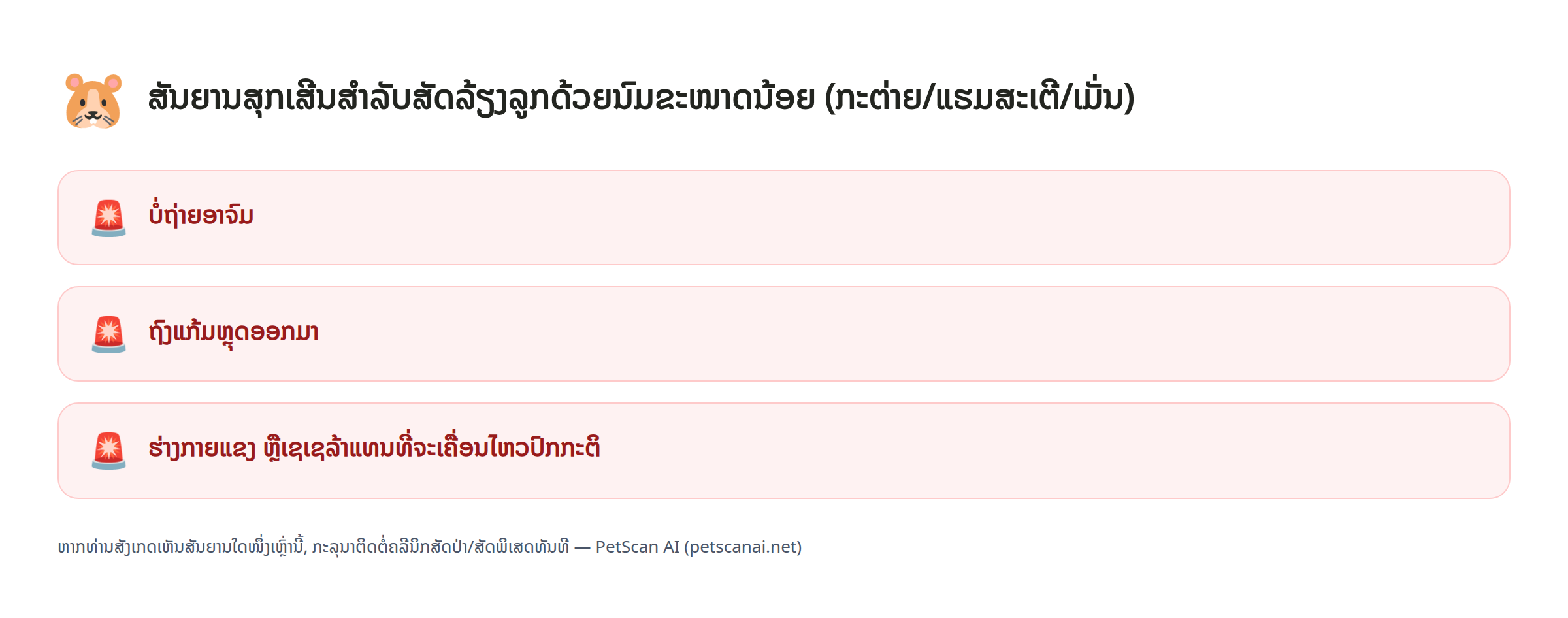 ສັນຍານສຸກເສີນສຳລັບສັດລ້ຽງລູກດ້ວຍນົມຂະໜາດນ້ອຍ (ກະຕ່າຍ/ແຮມສະເຕີ/ເມັ່ນ): ບໍ່ຖ່າຍອາຈົມ, ຖົງແກ້ມຫຼຸດອອກມາ, ຮ່າງກາຍແຂງ ຫຼືເຊເຊລ້າແທນທີ່ຈະເຄື່ອນໄຫວປົກກະຕິ — PetScan AI
