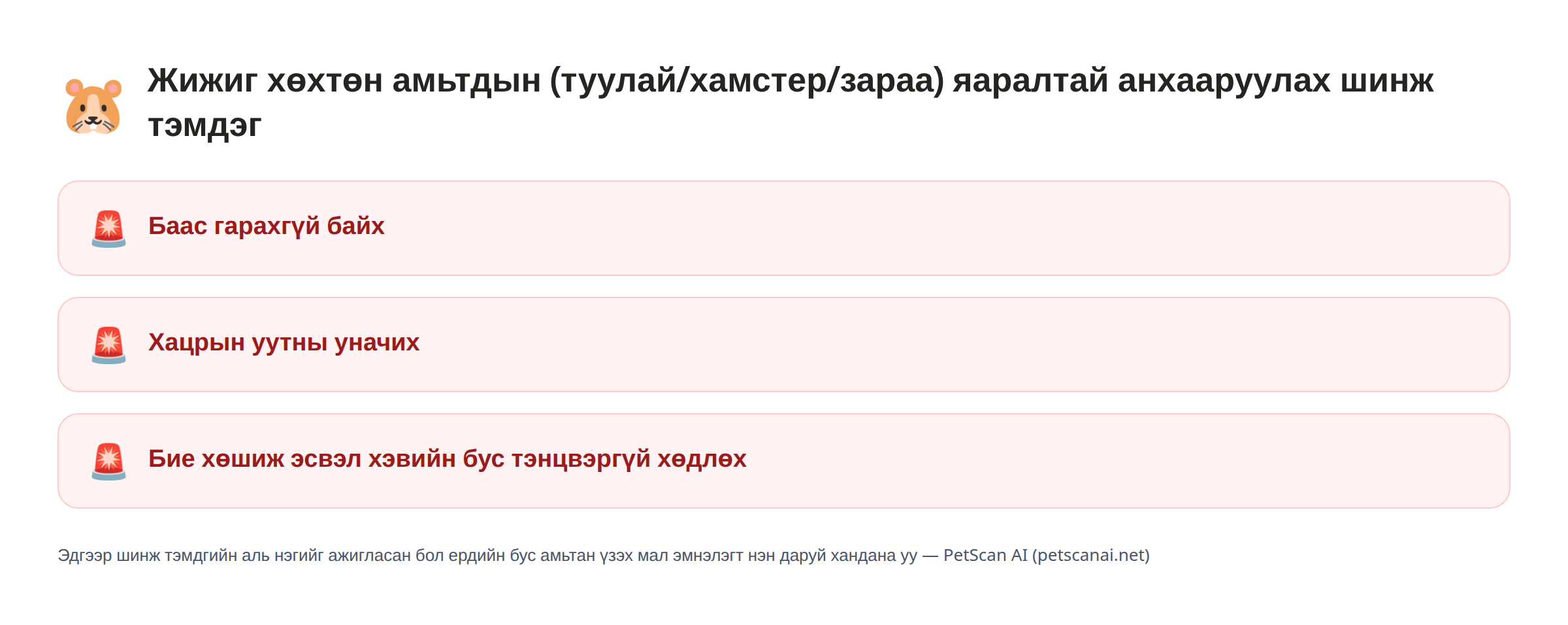Жижиг хөхтөн амьтдын (туулай/хамстер/зараа) яаралтай анхааруулах шинж тэмдэг: Баас гарахгүй байх, хацрын уутны уначих, бие хөшиж эсвэл хэвийн бус тэнцвэргүй хөдлөх — PetScan AI