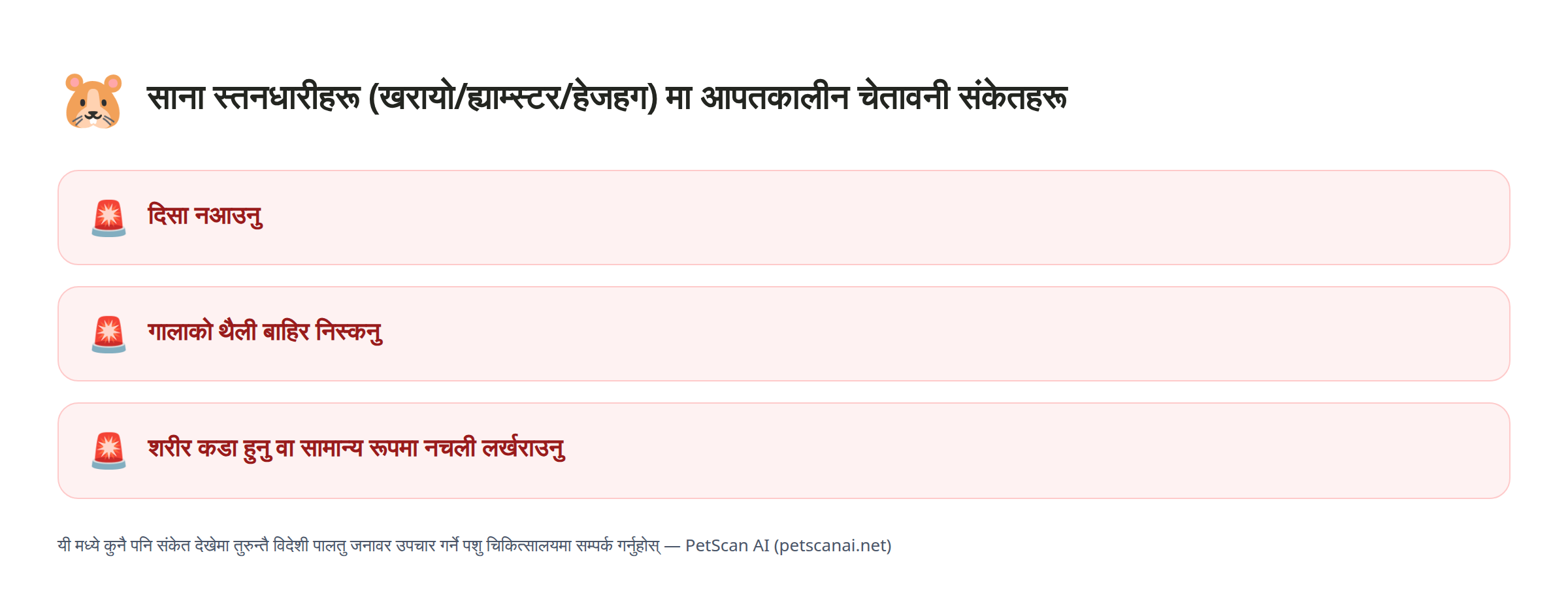 साना स्तनधारी (खरायो/ह्याम्स्टर/हेजहग) आपतकालीन संकेत जाँचसूची: दिसा नआउनु, गालाको थैली बाहिर निस्कनु, शरीर कडा हुनु वा सामान्य रूपमा नचली लर्खराउनु — PetScan AI