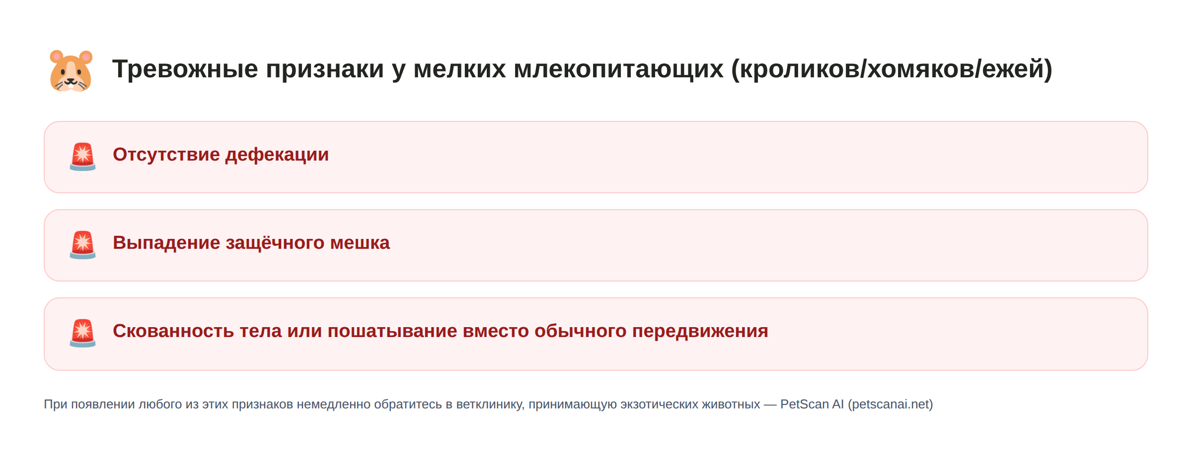 Чек-лист тревожных признаков у мелких млекопитающих (кроликов/хомяков/ежей): отсутствие дефекации, выпадение защёчного мешка, скованность тела или пошатывание вместо обычного передвижения — PetScan AI