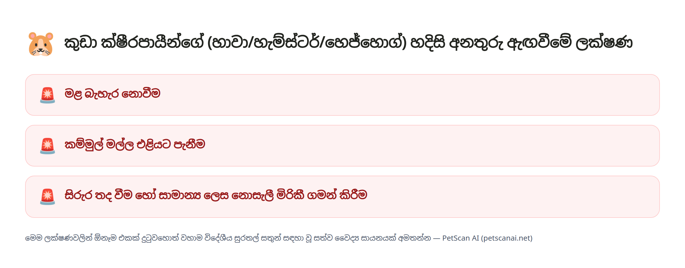 කුඩා ක්ෂීරපායීන්ගේ (හාවා/හැම්ස්ටර්/හෙජ්හොග්) හදිසි අනතුරු ඇඟවීමේ ලක්ෂණ: මළ බැහැර නොවීම, කම්මුල් මල්ල එළියට පැනීම, සිරුර තද වීම හෝ සාමාන්‍ය ලෙස නොසැලී මිරිකී ගමන් කිරීම — PetScan AI