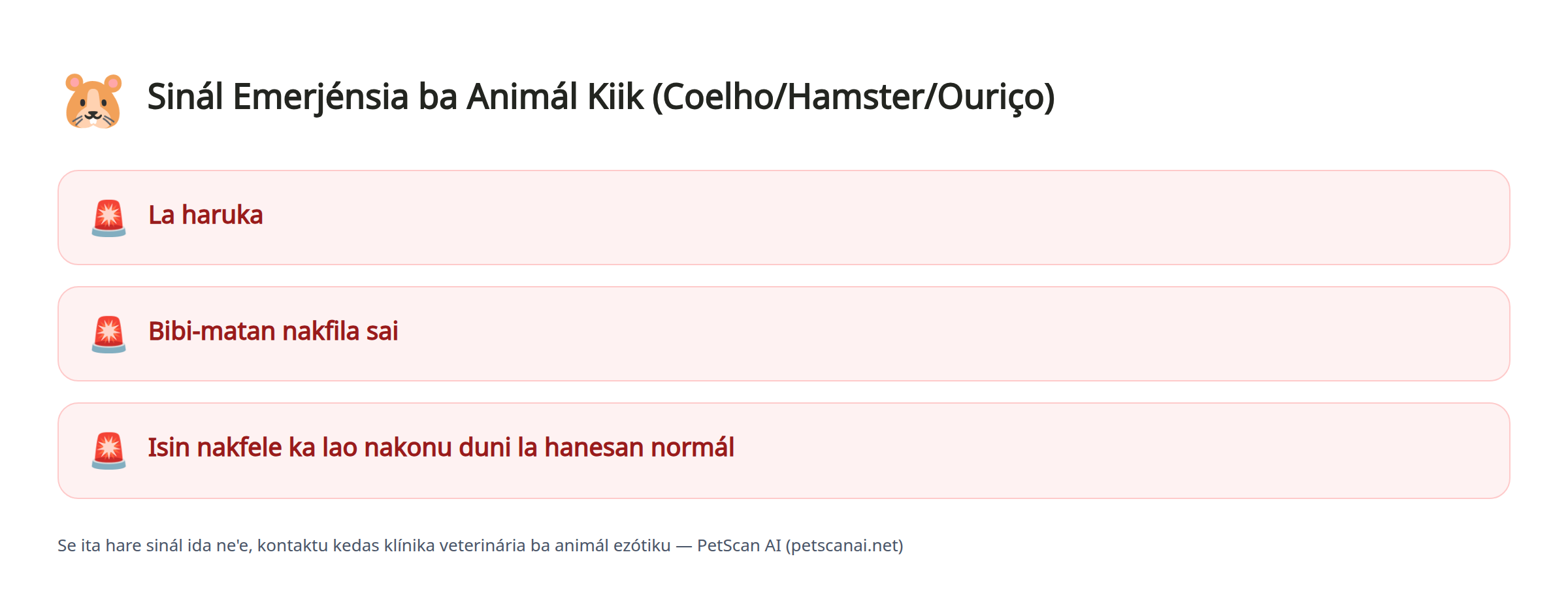 Sinál Emerjénsia ba Animál Kiik (Coelho/Hamster/Ouriço): La haruka, Bibi-matan nakfila sai, Isin nakfele ka lao nakonu duni la hanesan normál — PetScan AI