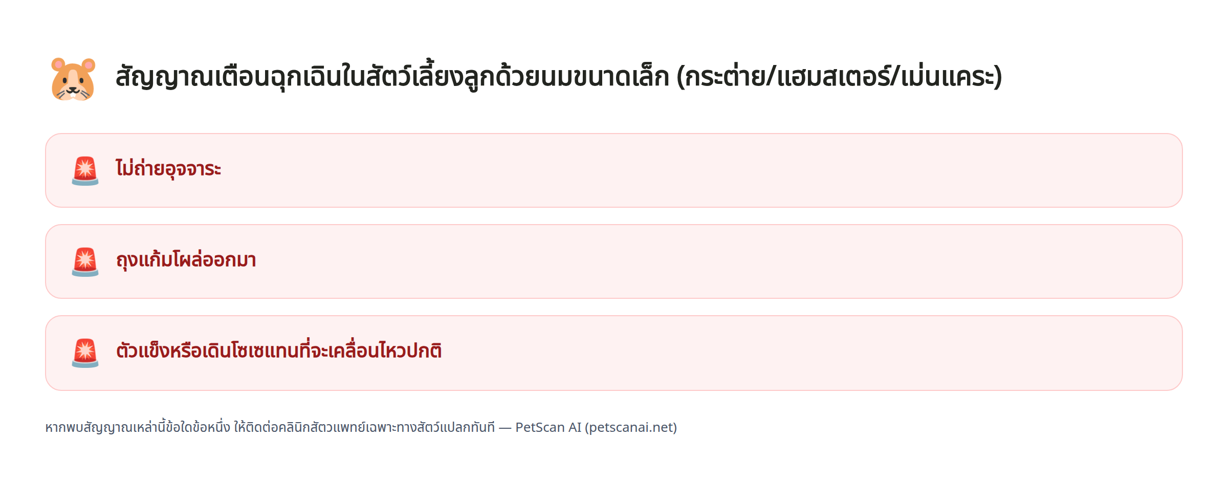สัญญาณเตือนฉุกเฉินในสัตว์เลี้ยงลูกด้วยนมขนาดเล็ก (กระต่าย/แฮมสเตอร์/เม่นแคระ): ไม่ถ่ายอุจจาระ, ถุงแก้มโผล่ออกมา, ตัวแข็งหรือเดินโซเซแทนที่จะเคลื่อนไหวปกติ — PetScan AI