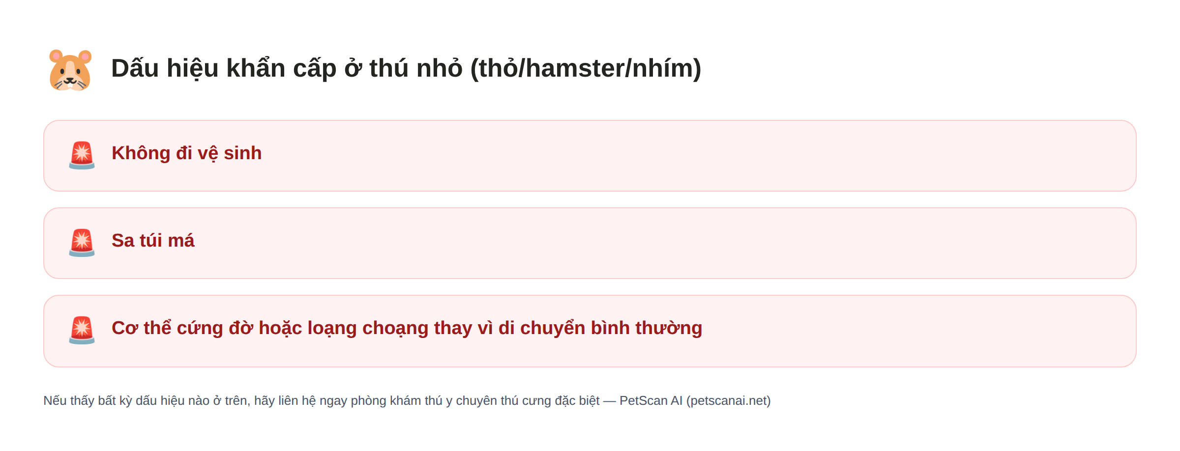Danh sách dấu hiệu khẩn cấp ở thú nhỏ (thỏ/hamster/nhím): Không đi vệ sinh, Sa túi má, Cơ thể cứng đờ hoặc loạng choạng thay vì di chuyển bình thường — PetScan AI